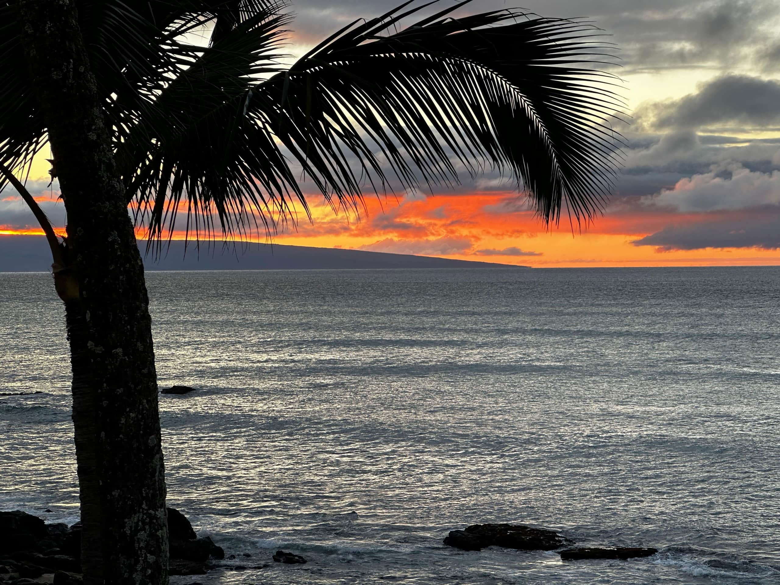 Condo in Lahaina · ★4.96 · 1 bedroom · 2 beds · 1 bath - Image 35