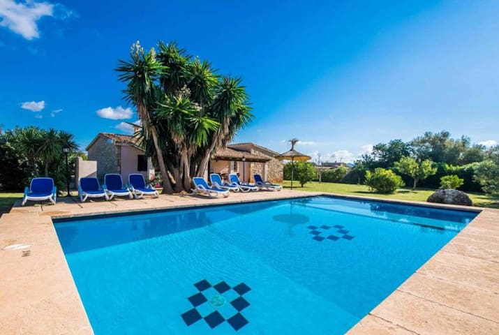 Cas Sollerich Magdelena