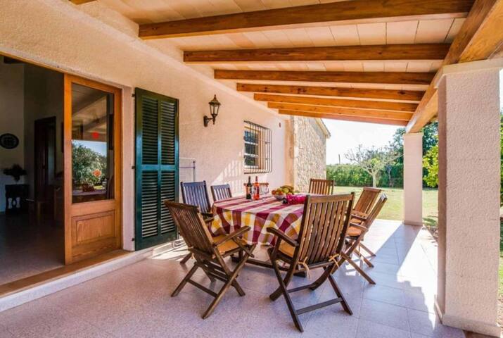 Cas Sollerich Magdelena gallery image 2