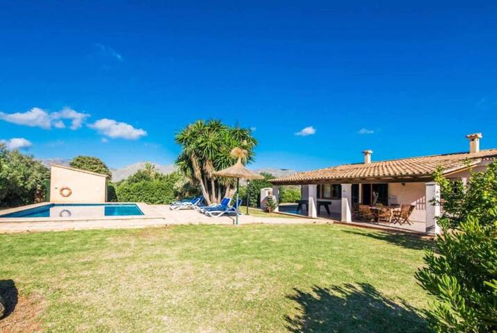 Cas Sollerich Magdelena gallery image 5