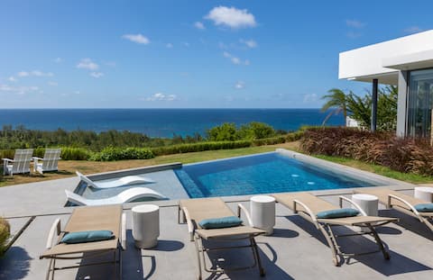 Oceanfront Paradise with Heated Infinity Pool