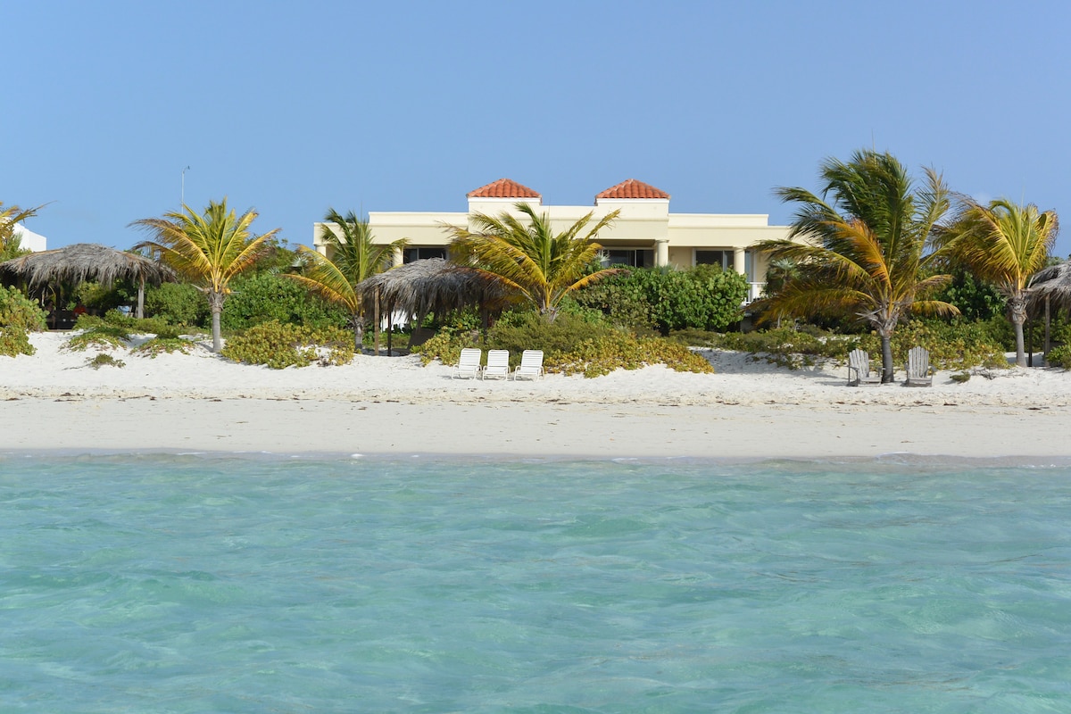 A beachfront view features the penthouse surrounded by lush greenery and swaying palm trees. The sandy shore is lined with two lounge chairs under thatched umbrellas, inviting relaxation by the clear turquoise water.
