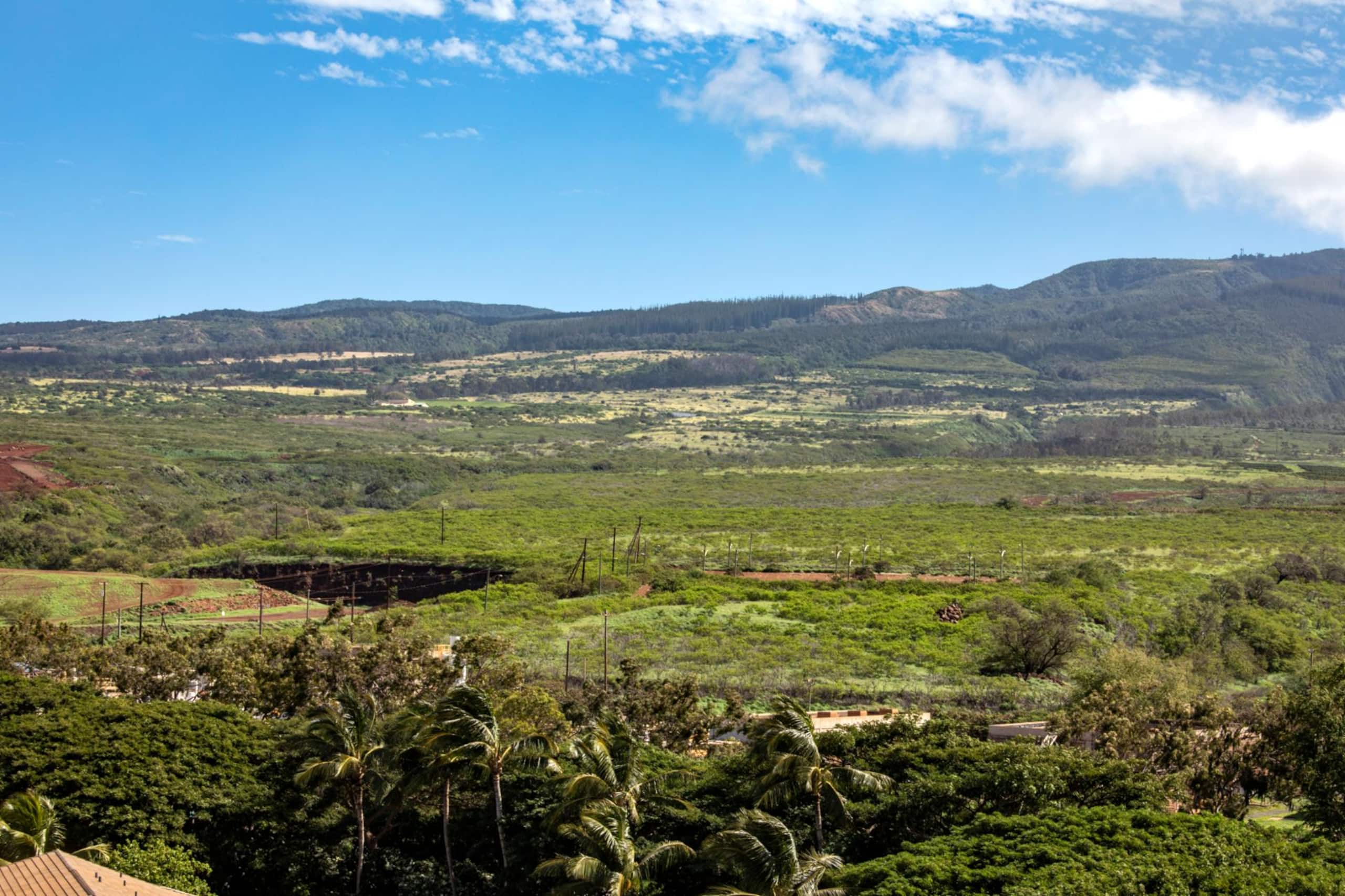 Condo in Lahaina · ★4.86 · 1 bedroom · 2 beds · 1 bath - Image 30