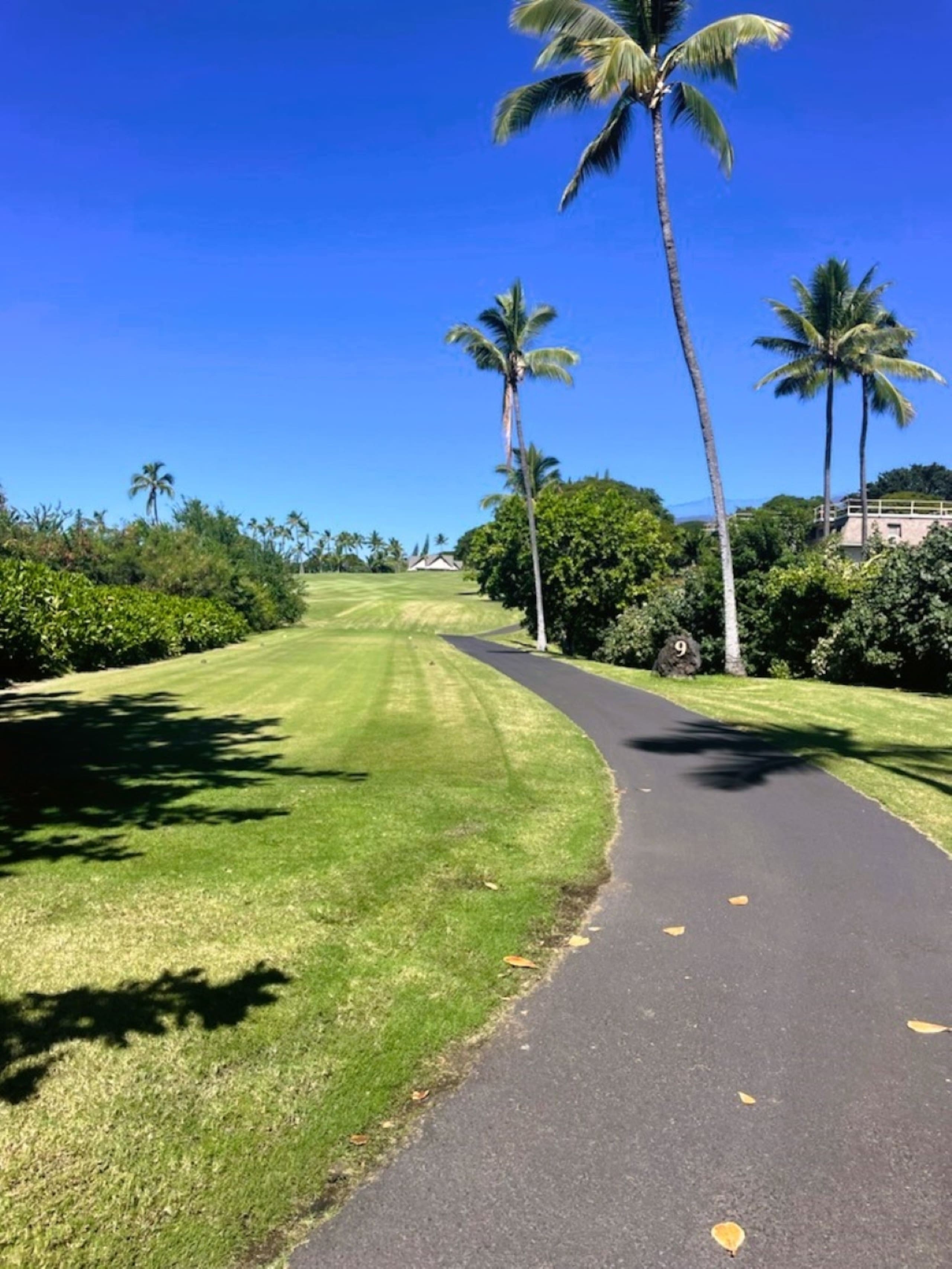 Condo in Kailua-Kona · ★4.61 · 2 bedrooms · 2 beds · 2 baths - Image 24