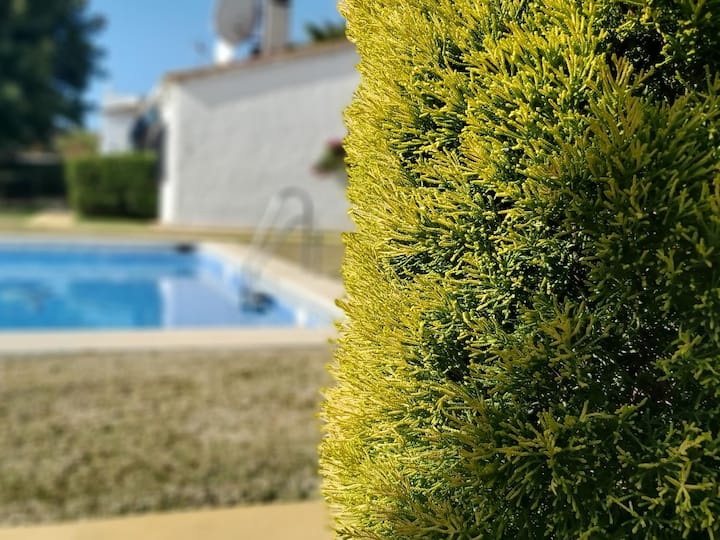 Del Parque Flats Picasso Townhouse - 馬貝拉