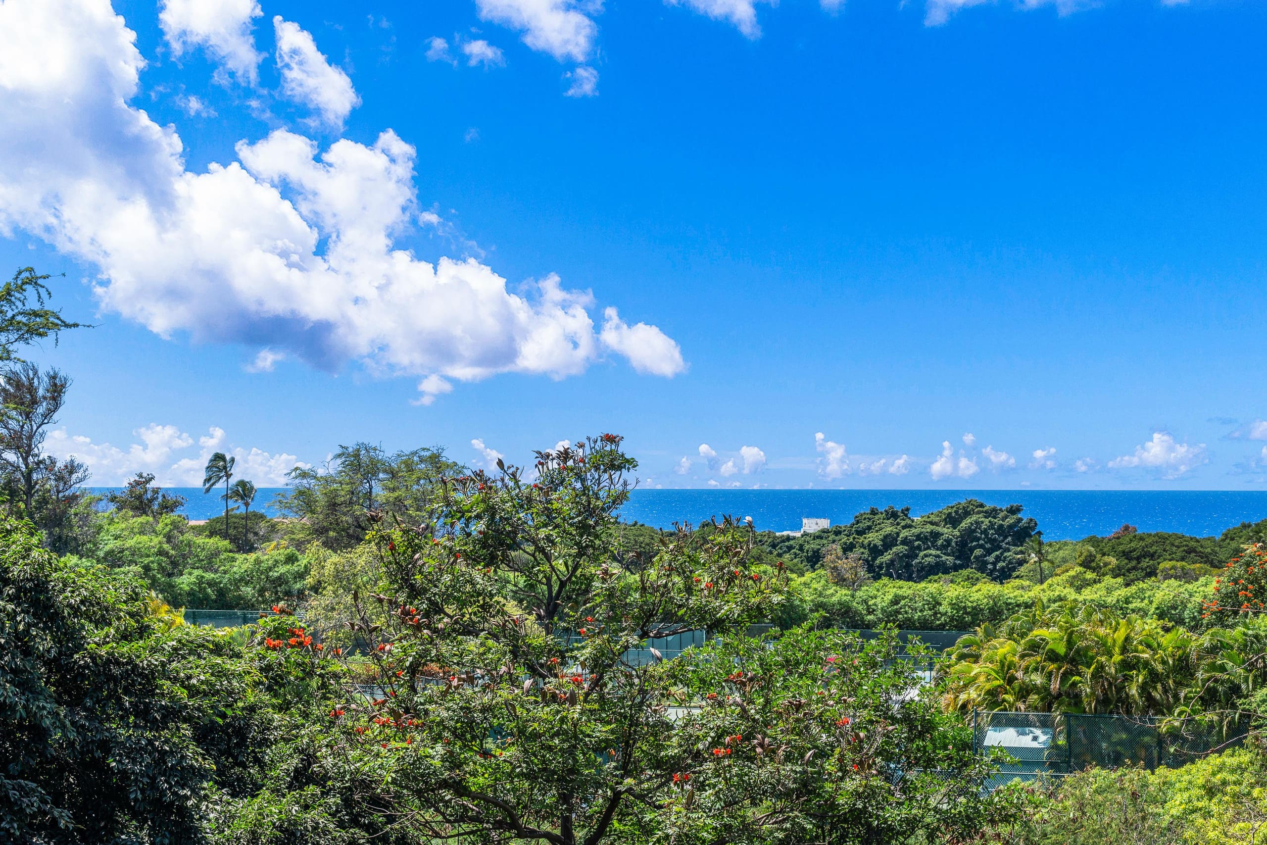 Condo in Wailea · ★5.0 · 1 bedroom · 1 bed · 2 private baths - Image 19