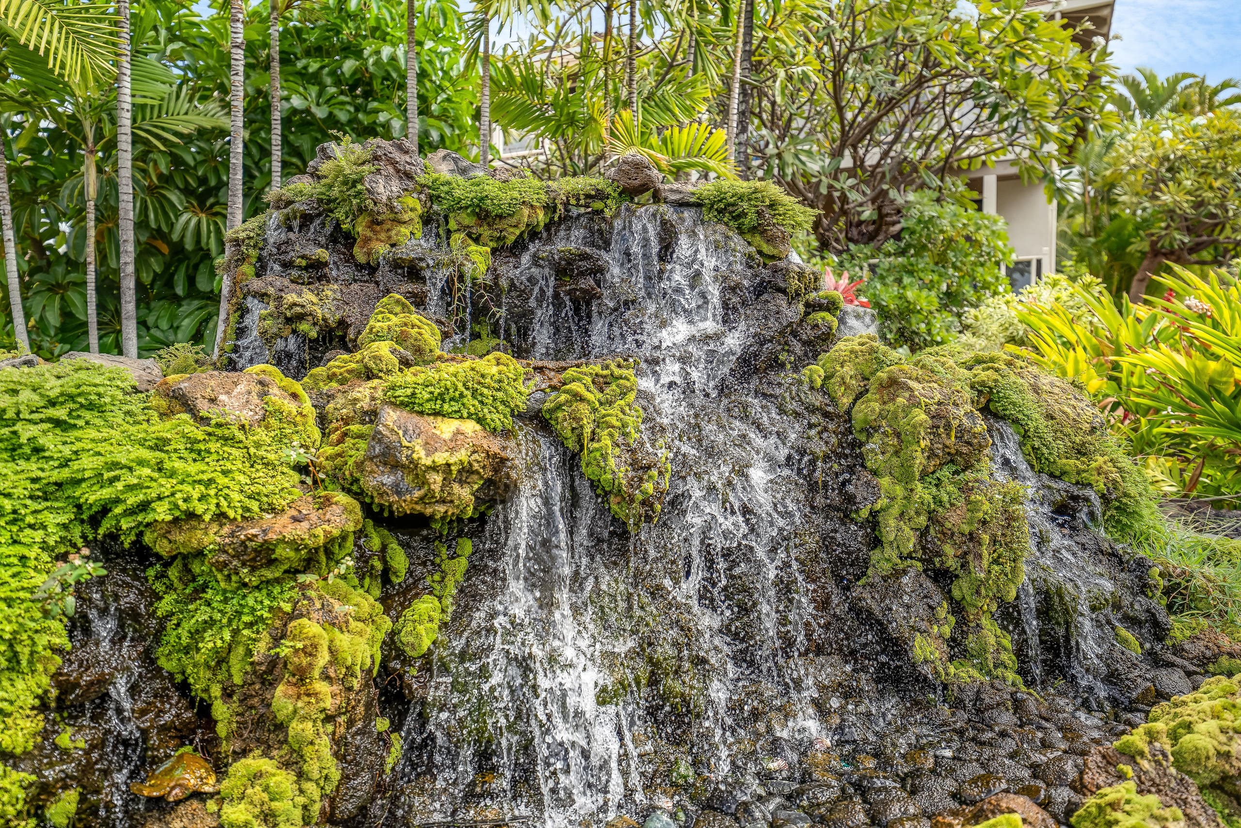 Condo in Wailea · ★5.0 · 1 bedroom · 1 bed · 2 private baths - Image 65