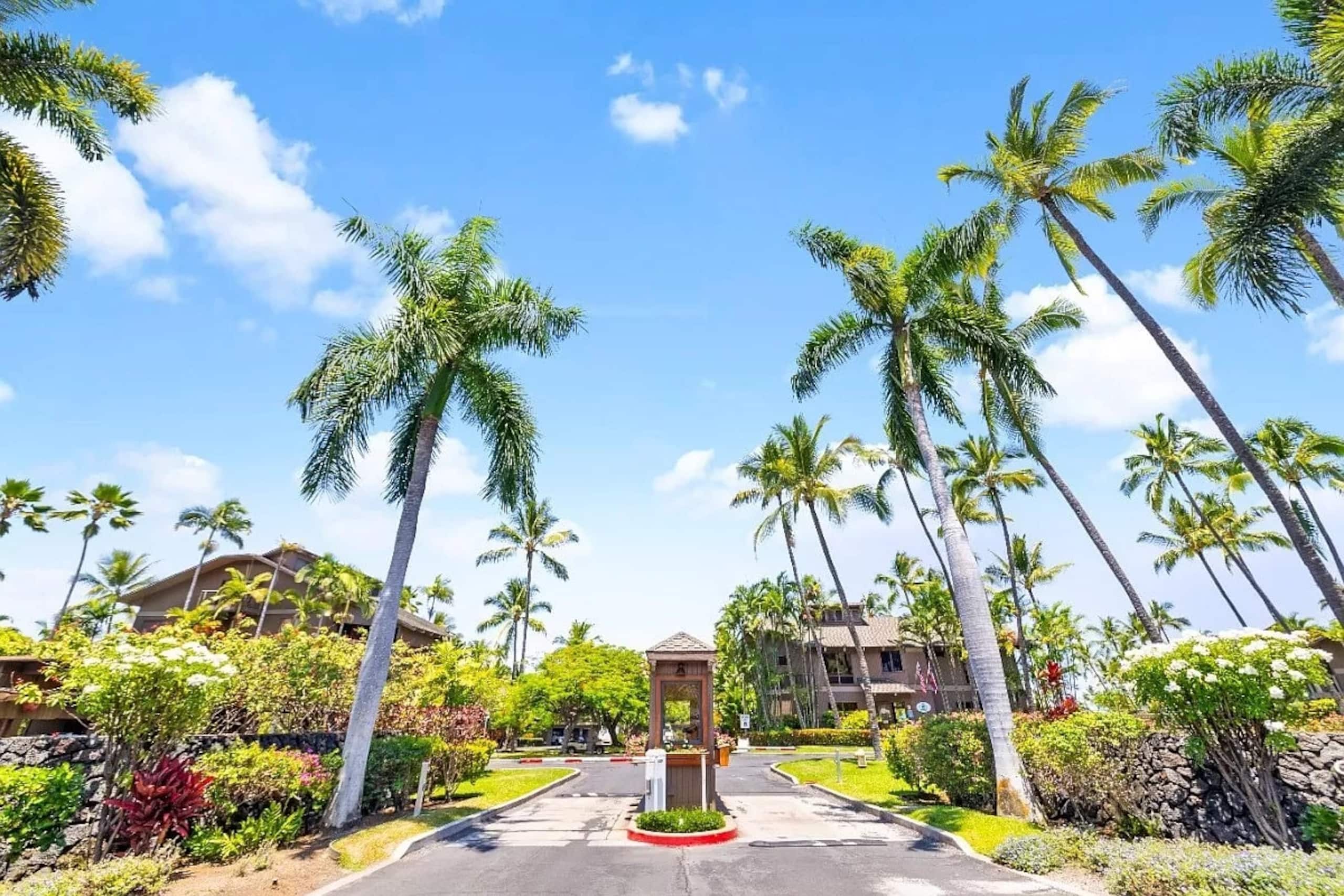Condo in Kailua-Kona · ★4.7 · 2 bedrooms · 3 beds · 2 baths - Image 39