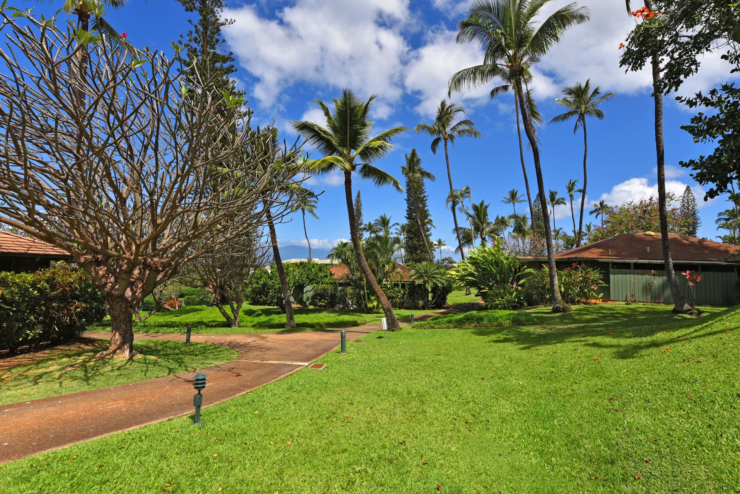 Condo in Lahaina · ★5.0 · 2 bedrooms · 3 beds · 2 baths - Image 26