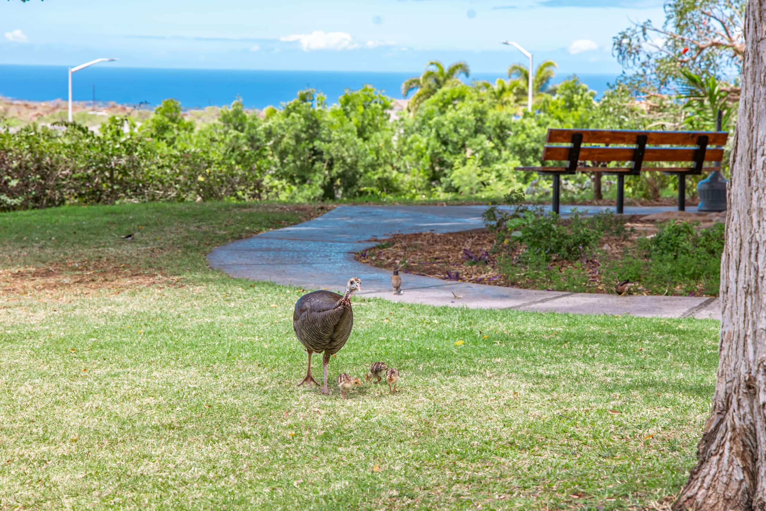 Upgraded 3 bed w/Ocean View, Pool, Hot tub, 2*King - Photo 97