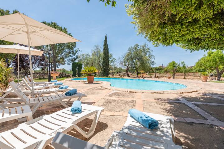 Cas Moliner gallery image 2