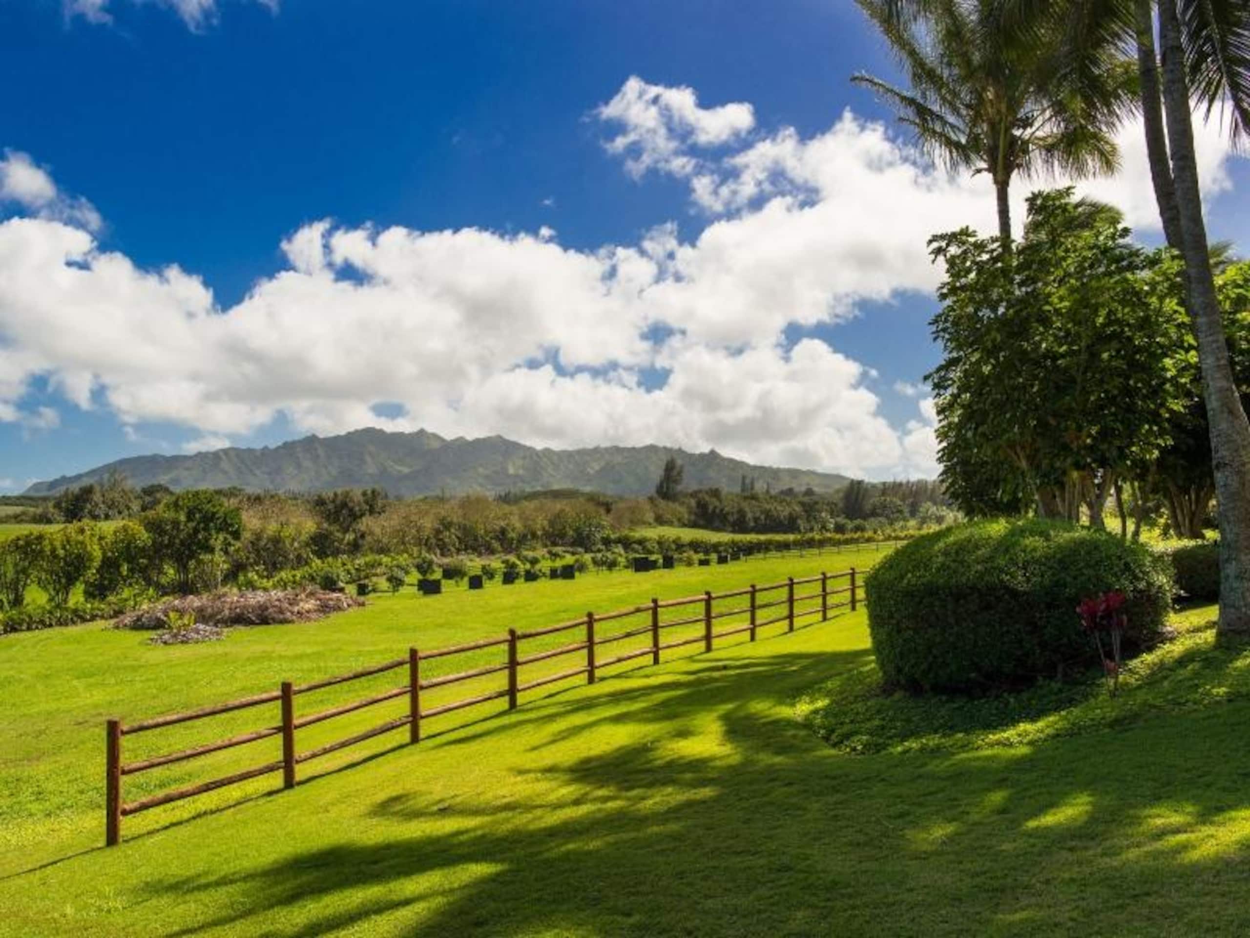 Home in Kilauea · ★4.36 · 3 bedrooms · 4 beds · 3.5 baths - Photo 9