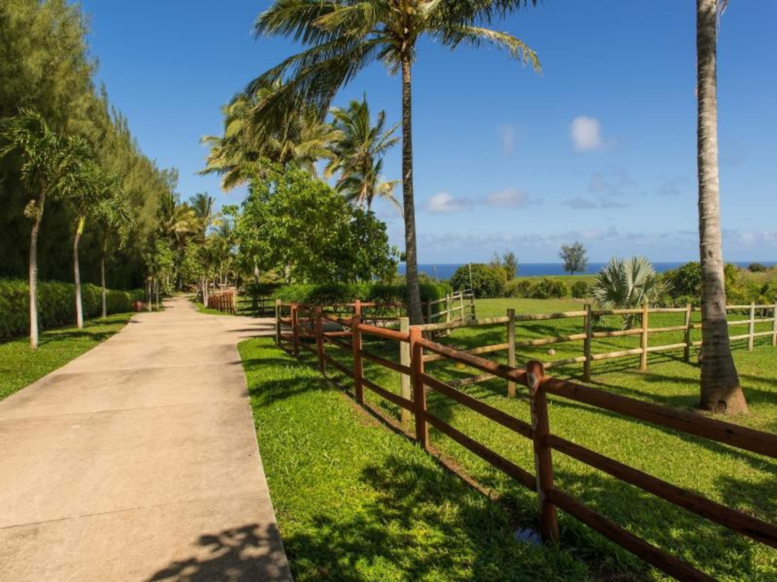 Home in Kilauea · ★4.36 · 3 bedrooms · 4 beds · 3.5 baths - Photo 12