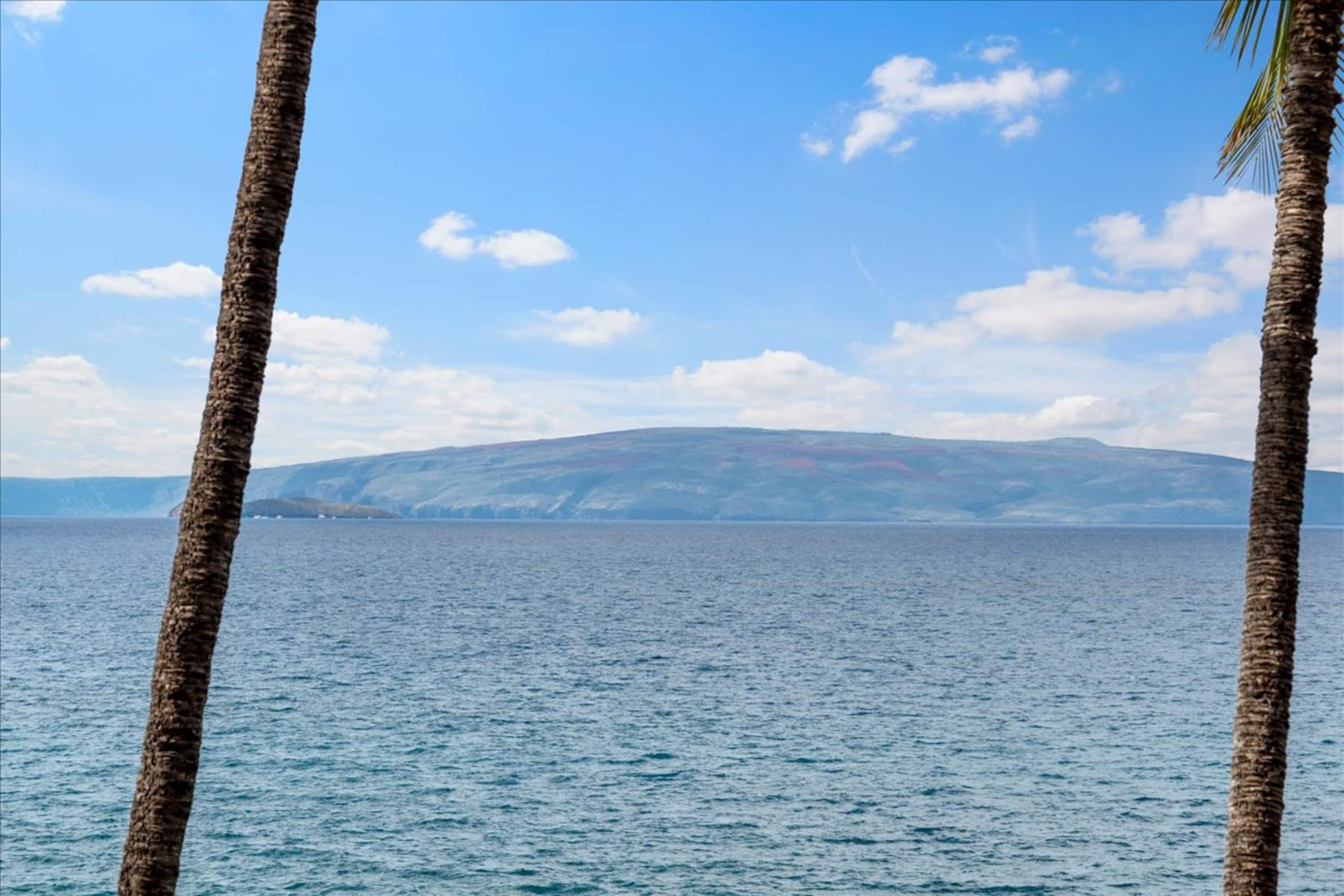 Condo in Kihei · ★4.88 · 2 bedrooms · 3 beds · 2 baths - Image 9