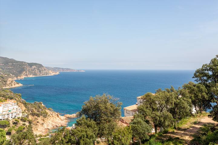 Tossa de Mar, Cala Salions gallery image 3