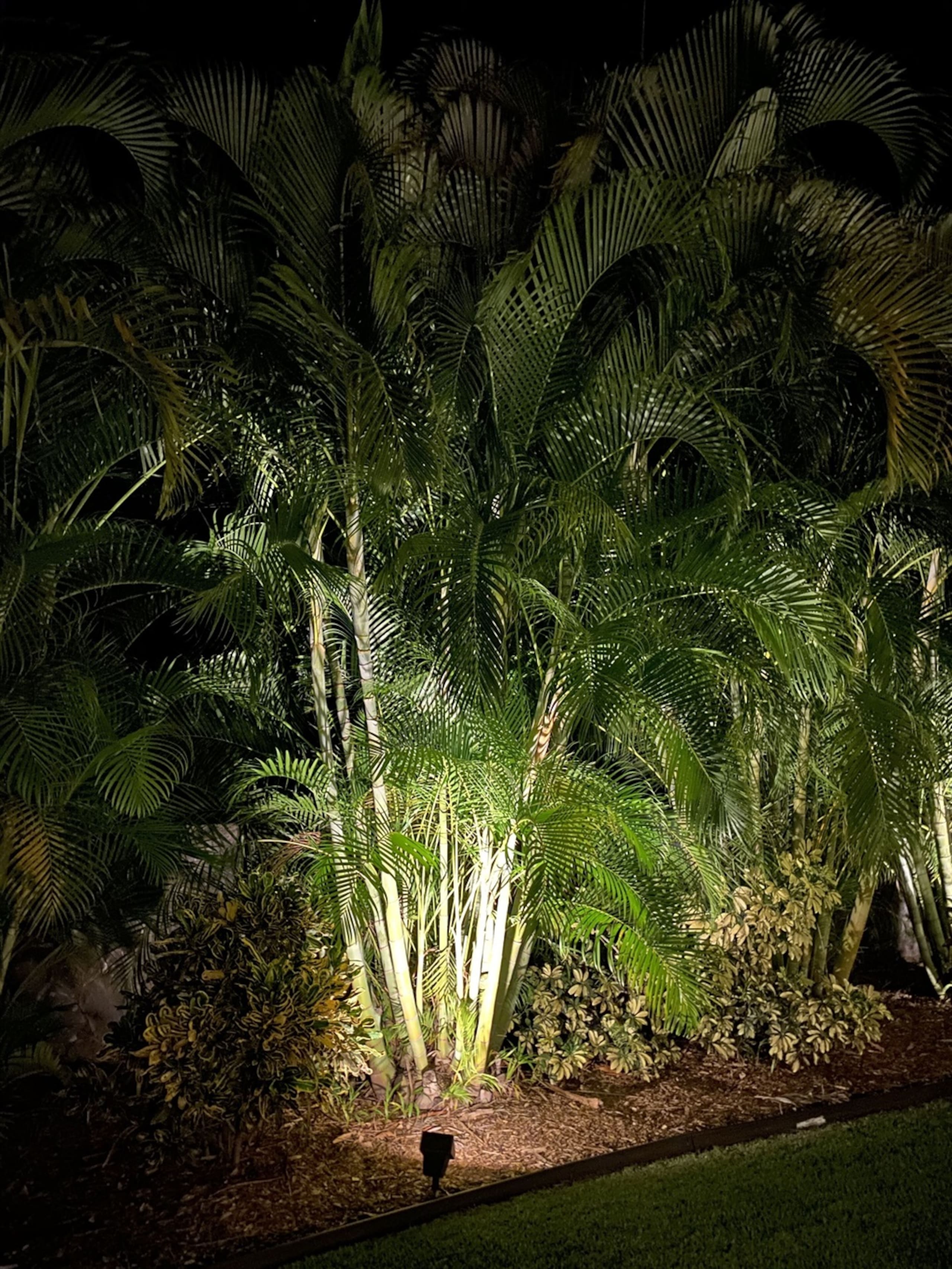 Home in Kihei · ★5.0 · 4 bedrooms · 4 beds · 2.5 private baths - Image 41