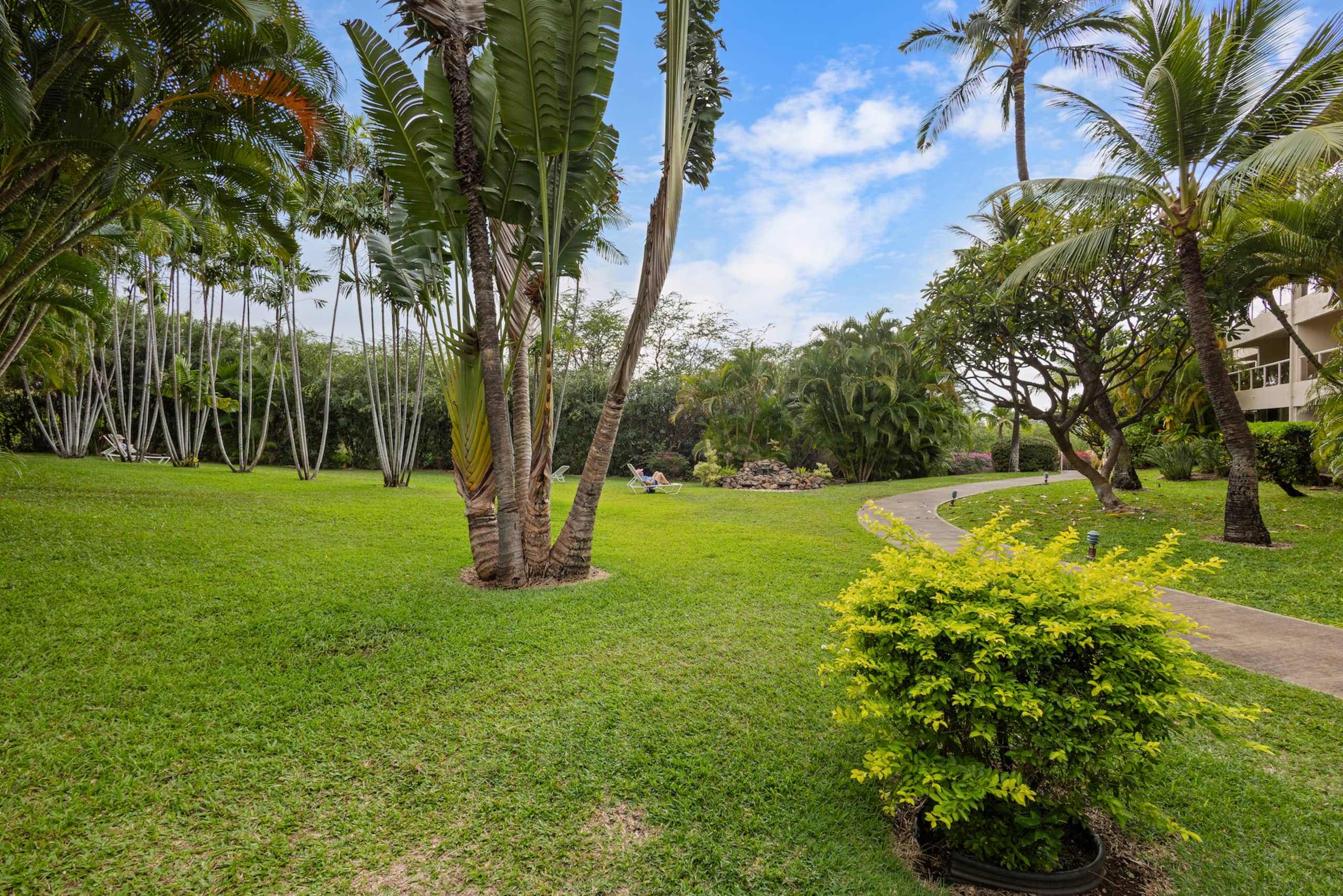 Condo in Kihei · ★4.45 · 1 bedroom · 1 bed · 1 shared bath - Image 11