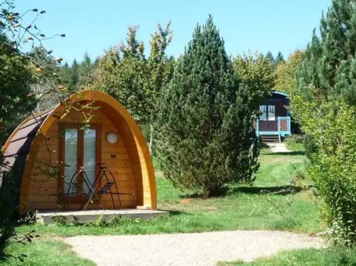 A wooden pod-shaped accommodation is surrounded by lush greenery and trees. The featured structure has large glass doors and a wooden deck. In the background, a blue and red caravan is visible, nestled among the trees, emphasizing the serene outdoor setting.