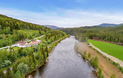 Awesome apartment in Haltdalen with kitchen