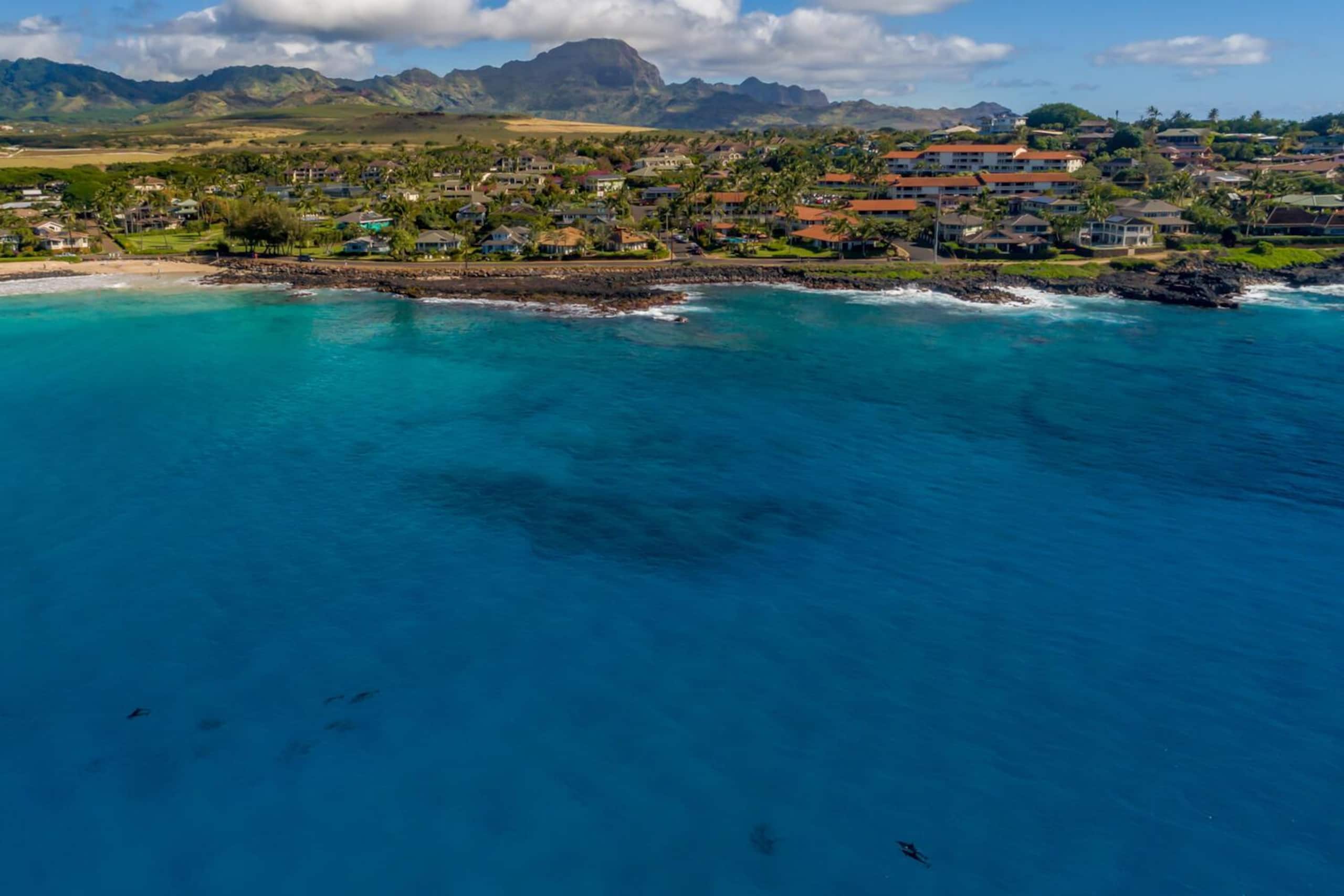 Condo in Koloa · ★4.9 · 2 bedrooms · 4 beds · 2 shared baths - Image 33