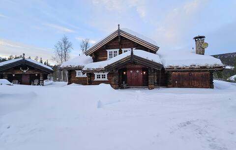 Cozy home in Uvdal with kitchen