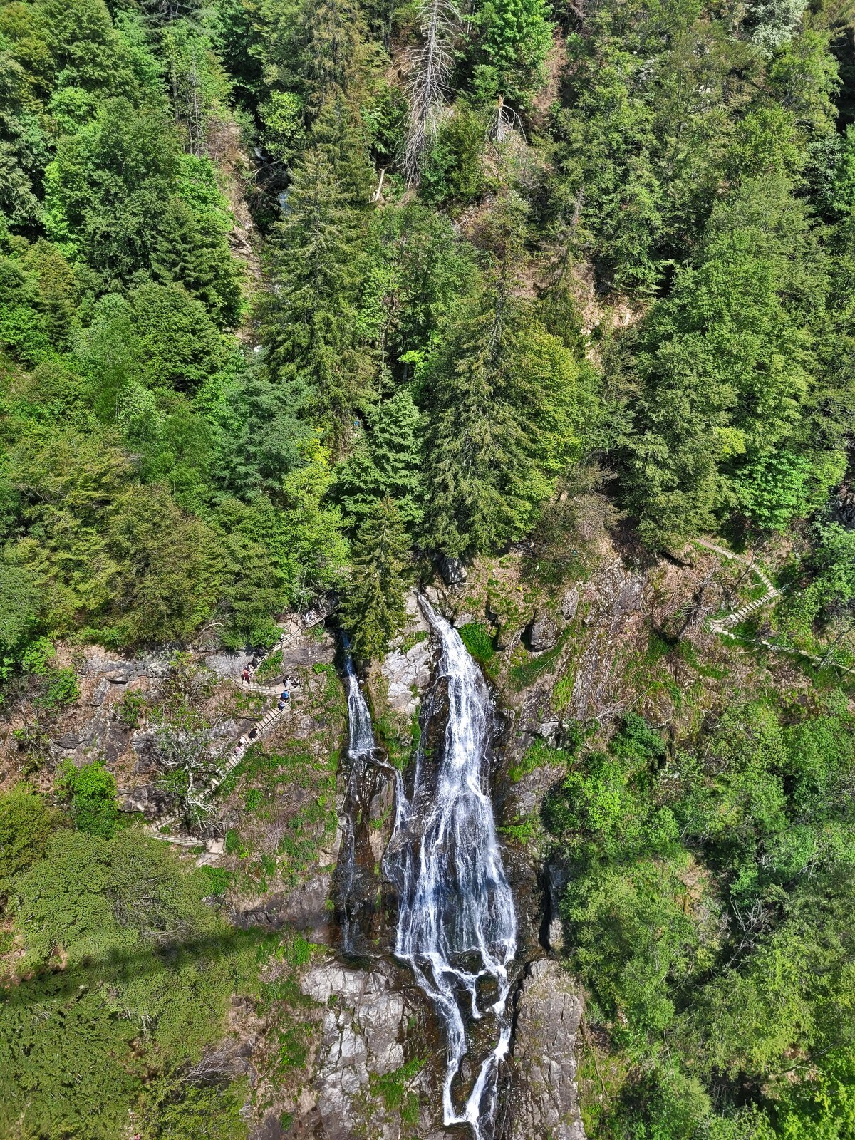 A cascading waterfall flows down a rocky cliff surrounded by lush green trees. The vibrant foliage contrasts with the clear water, creating a serene natural setting. A hiking path is faintly visible near the base of the waterfall, inviting exploration.