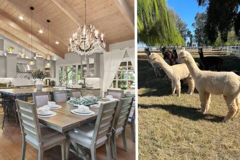 @ Marbella Lane - Alpaca Farm House l Pool