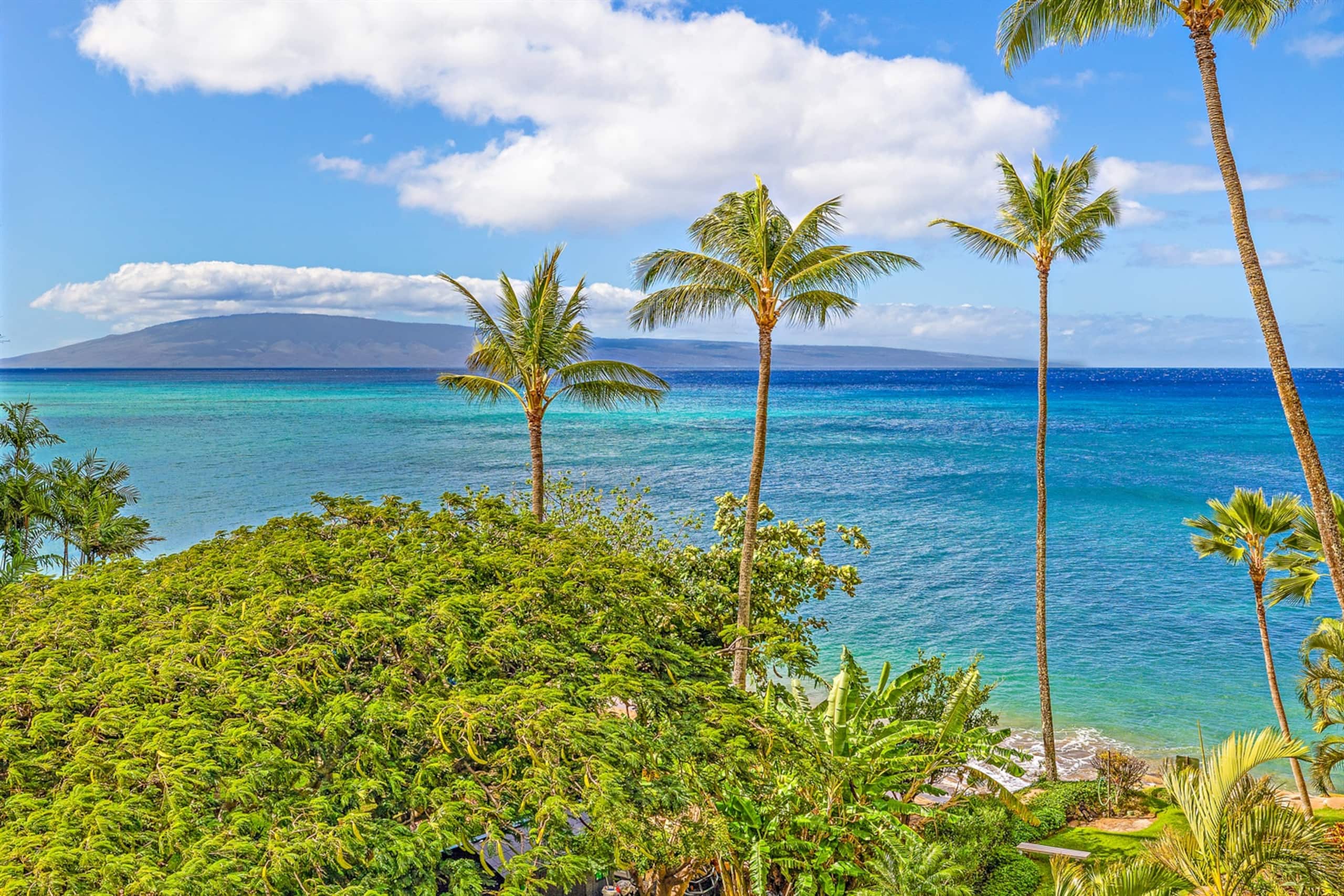Condo in Lahaina · ★5.0 · 1 bedroom · 2 beds · 1 private bath - Image 30