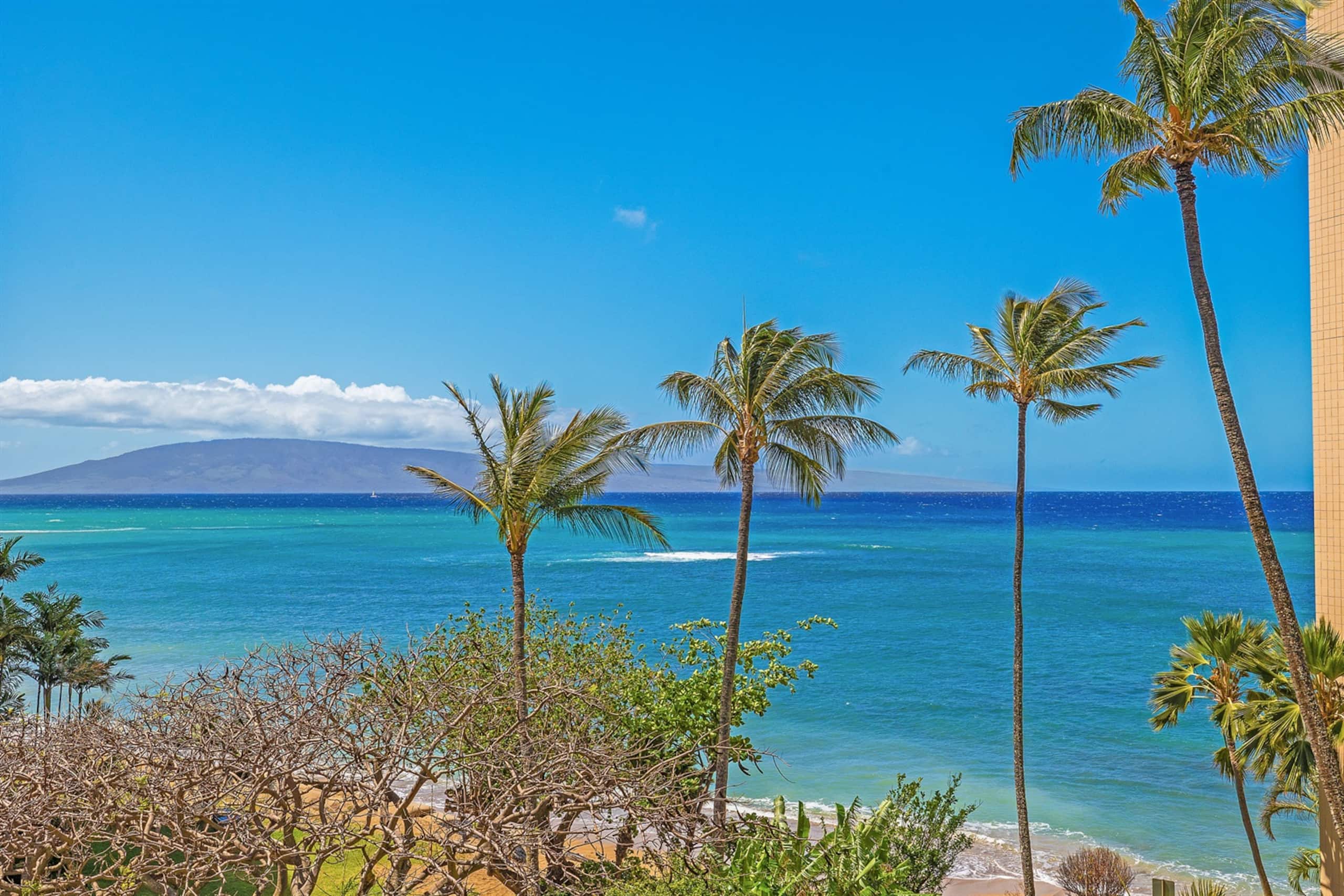 Condo in Lahaina · ★5.0 · 1 bedroom · 2 beds · 1 private bath - Image 4