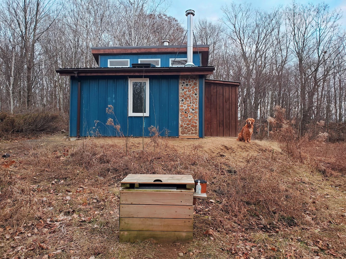 A quaint cabin is nestled among bare trees, featuring a combination of blue siding and stone accents. A wood stove chimney rises from the roof. In the foreground, a wooden box sits on the ground, while a friendly dog is seen sitting at the cabin's side.