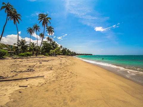 Palm Del Mar - 2 Beach Front Villas Combined - 14 Bedrooms