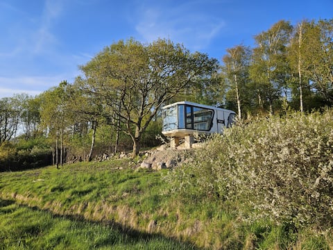 The Forest Capsule Experience