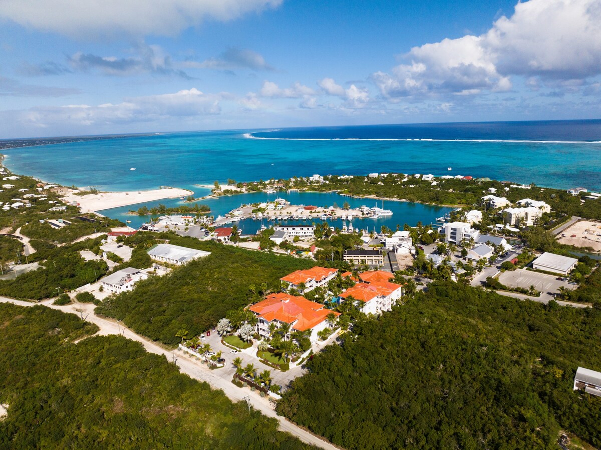 Penthouse Breathtaking Views Outdoor Terrace Apartments for Rent