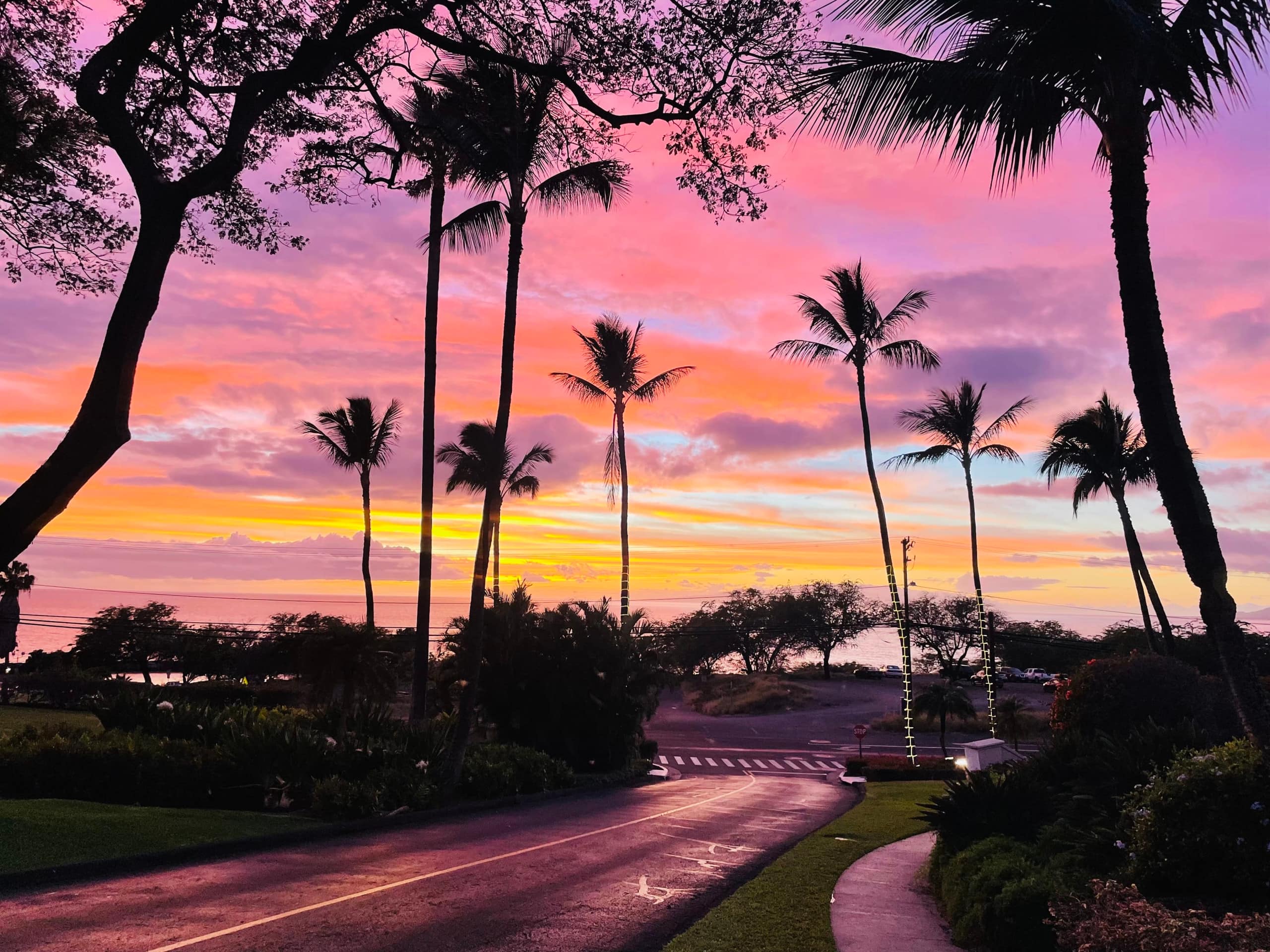 Condo in Kihei · ★4.95 · 2 bedrooms · 3 beds · 2 baths - Image 56