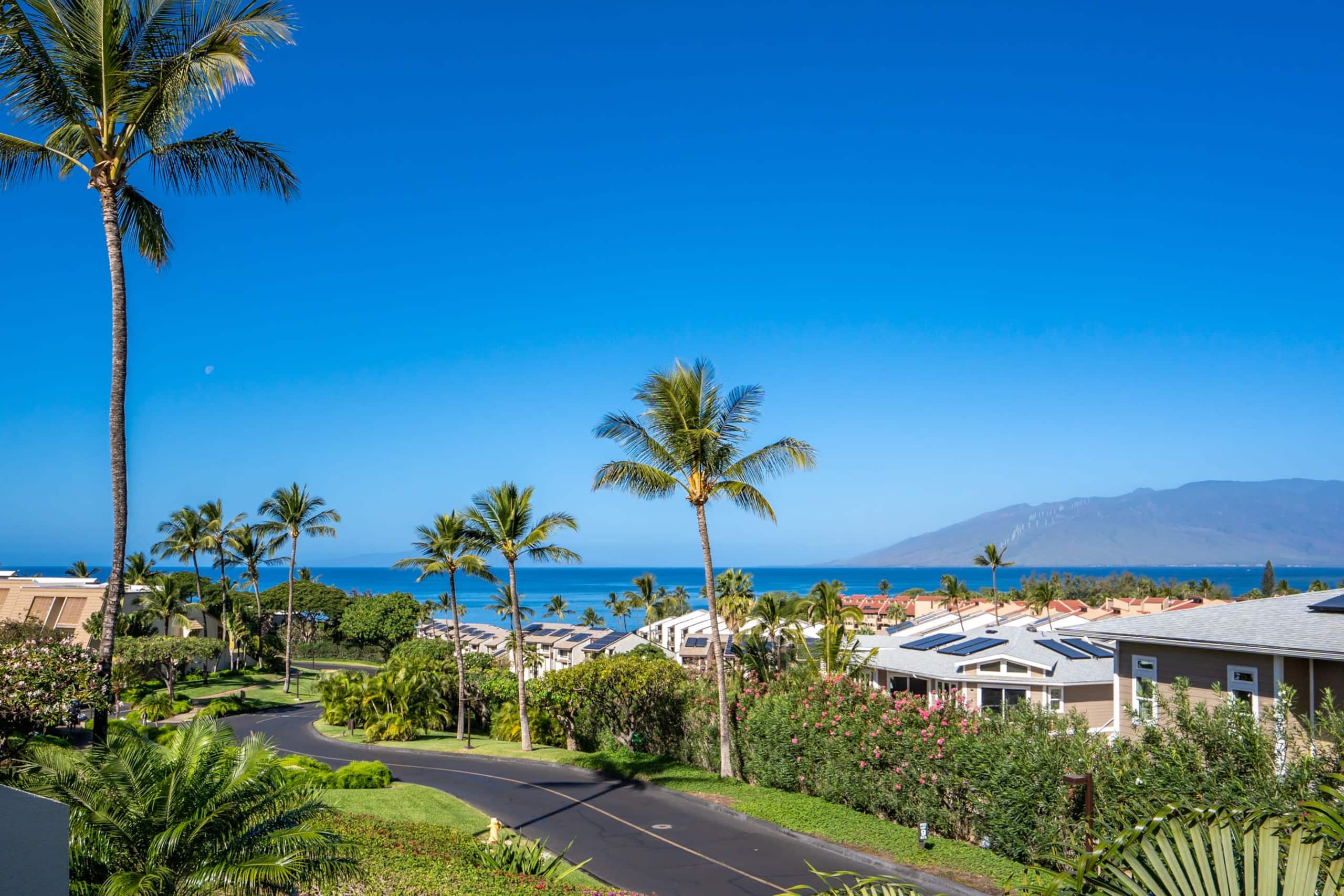 Condo in Kihei · ★4.95 · 2 bedrooms · 3 beds · 2 baths - Image 44
