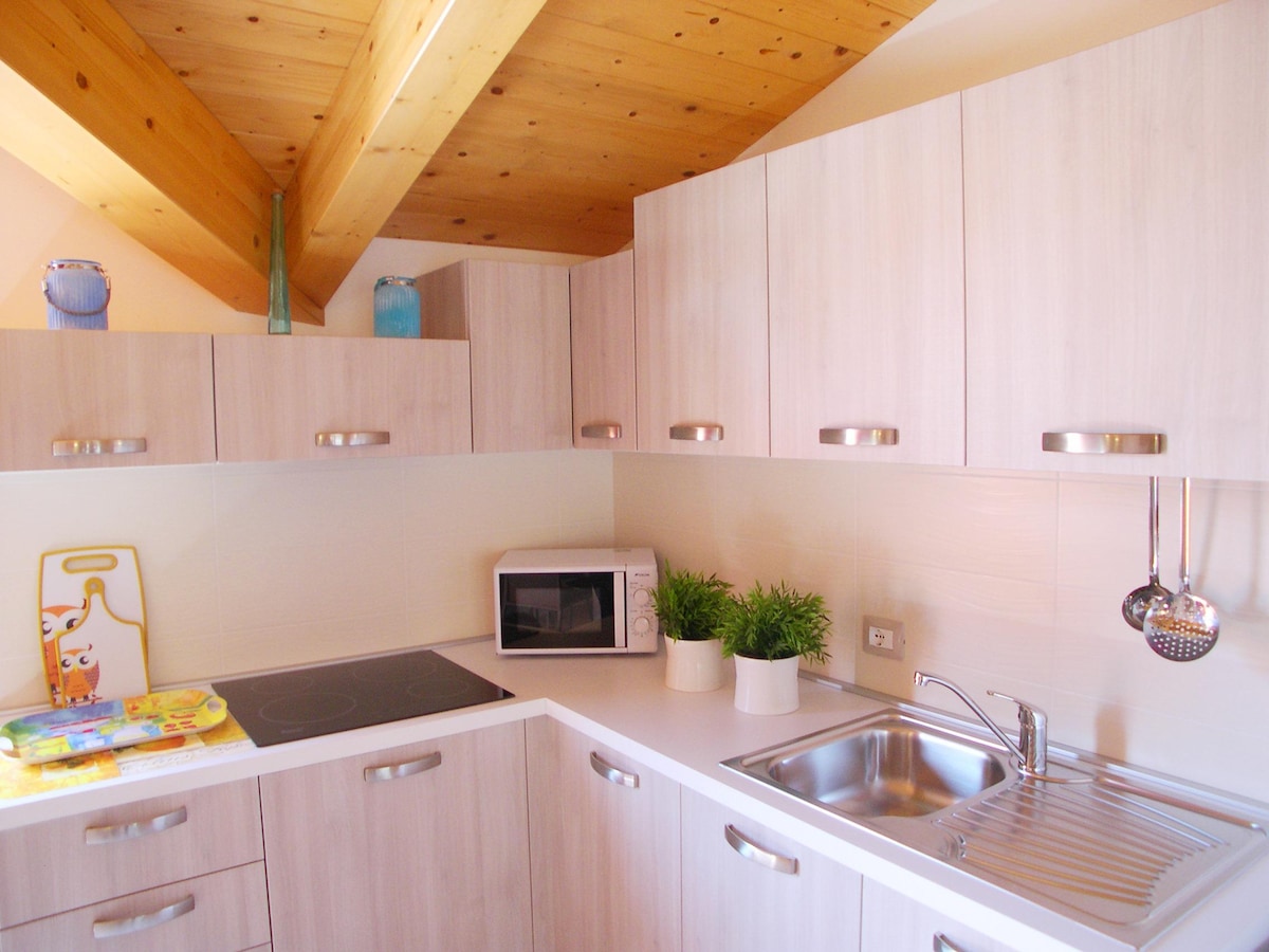 The kitchen area features modern cabinetry with light wood accents and stainless steel handles. A microwave and small potted plants are positioned on the countertop, alongside a sink and an electric cooktop. Exposed wooden beams add warmth to the space.