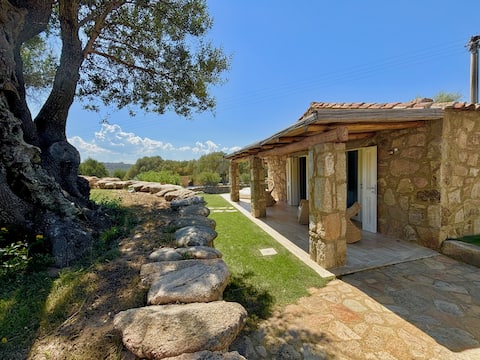 Successful Airbnb property: Petra d'arana in Palau