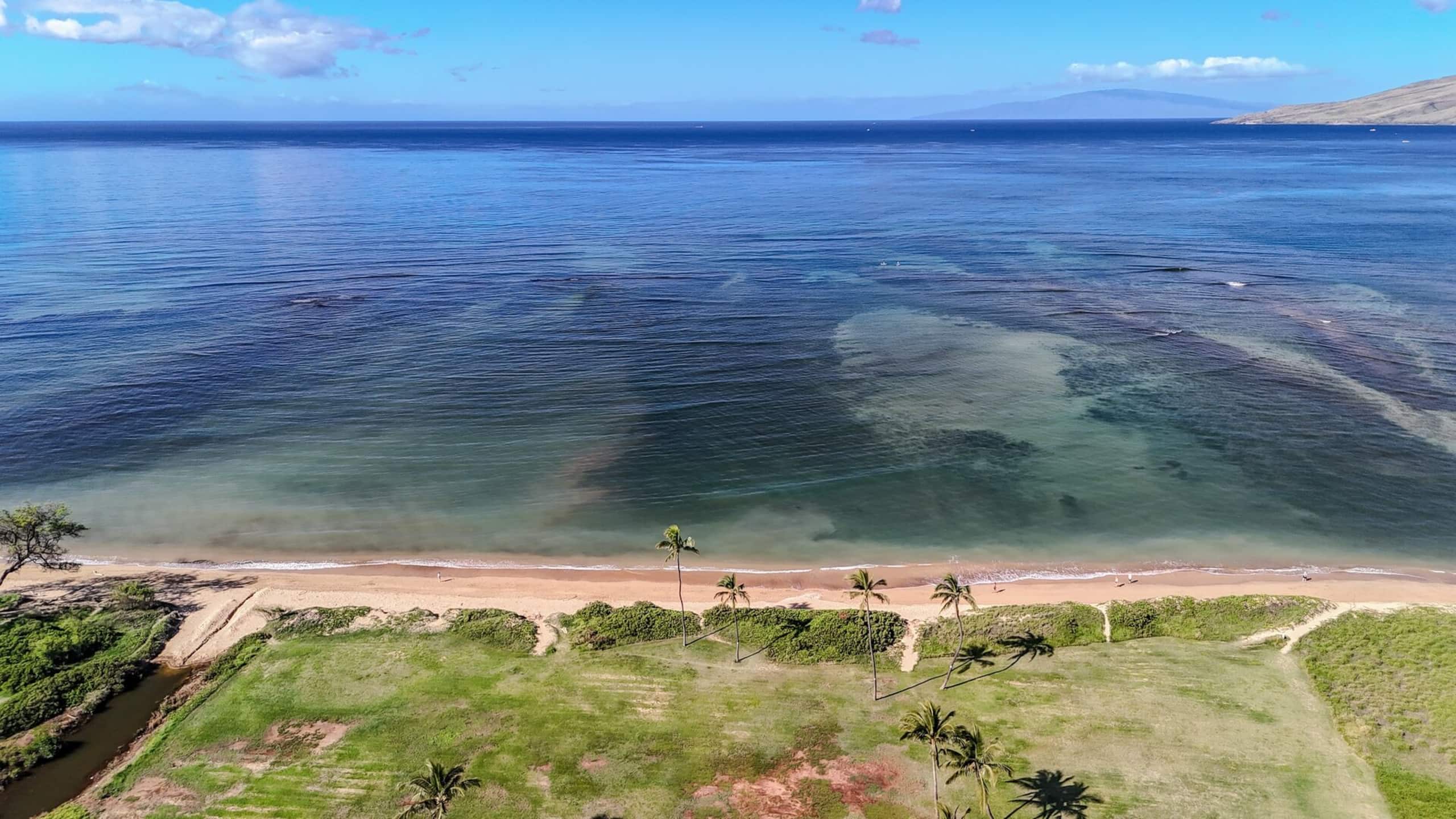 Condo in Kihei · ★4.76 · 1 bedroom · 2 beds · 1 bath - Image 25