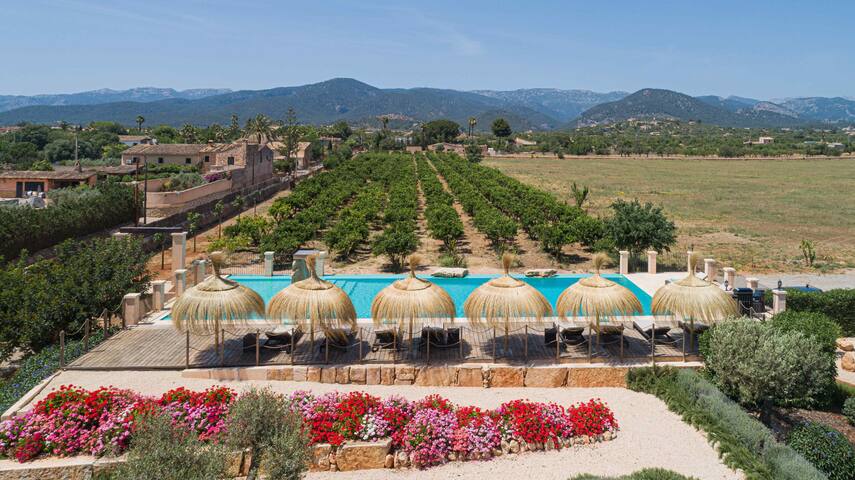 Finca Ullastre gallery image 5