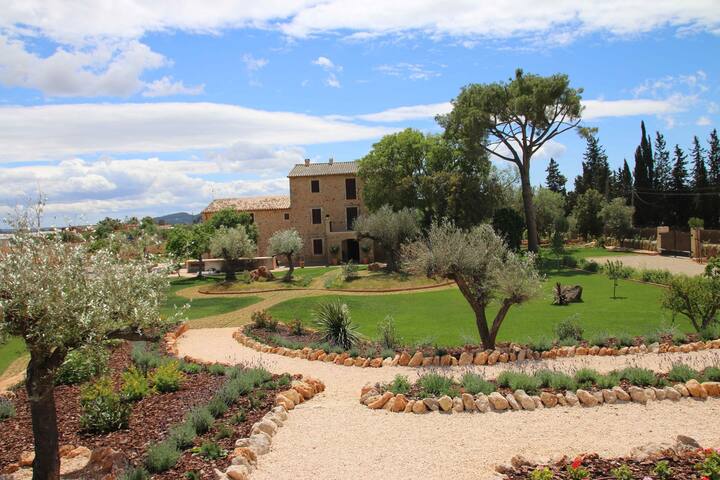 Finca Ullastre gallery image 3