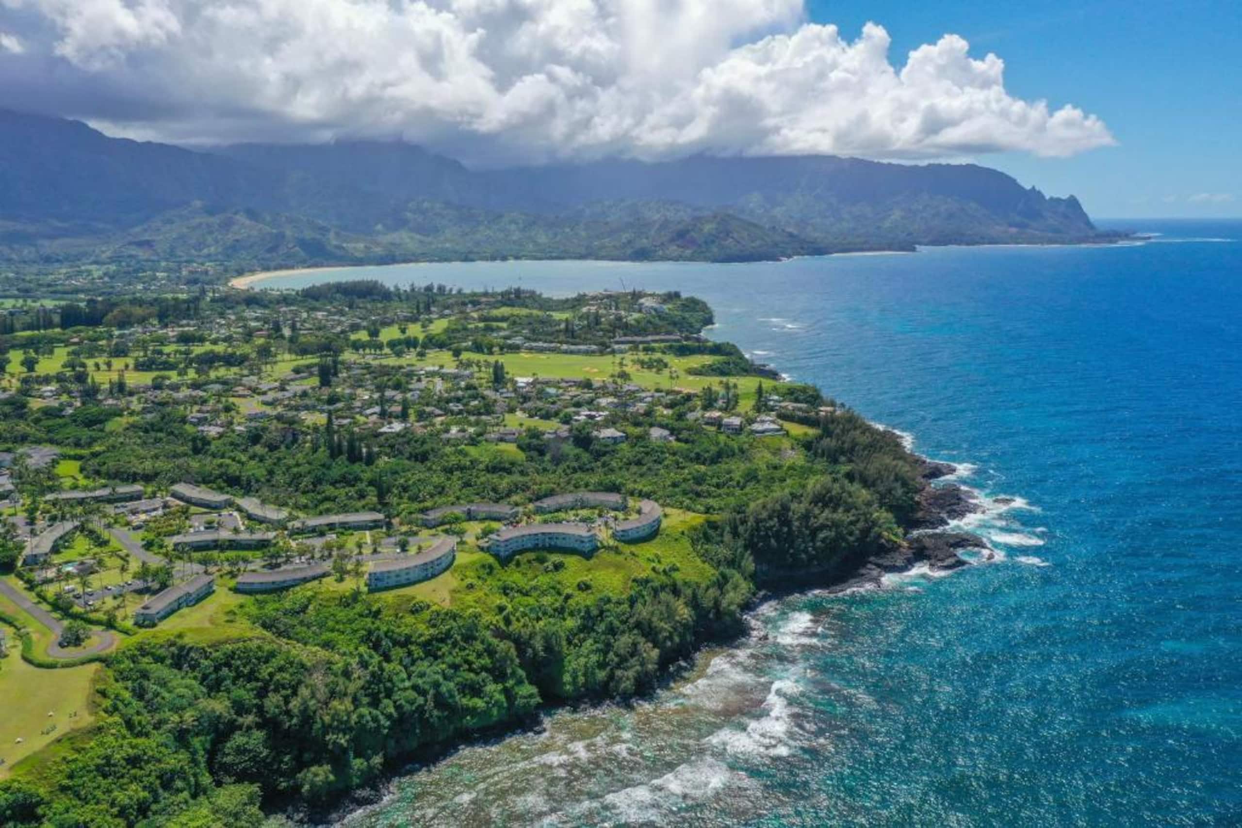 Condo in Princeville · ★4.73 · 2 bedrooms · 2 beds · 2 baths - Image 20