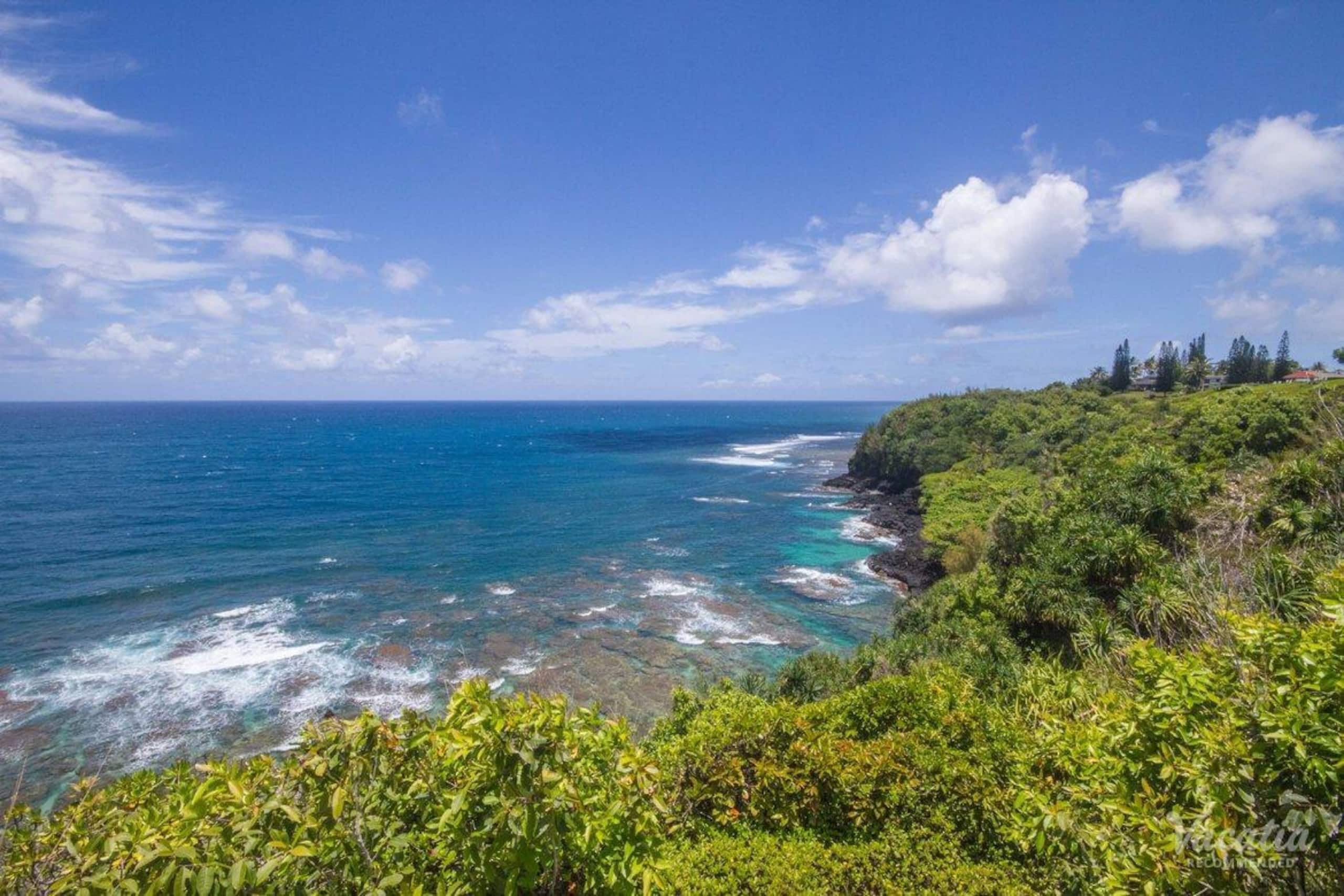 Condo in Princeville · ★4.73 · 2 bedrooms · 2 beds · 2 baths - Image 18