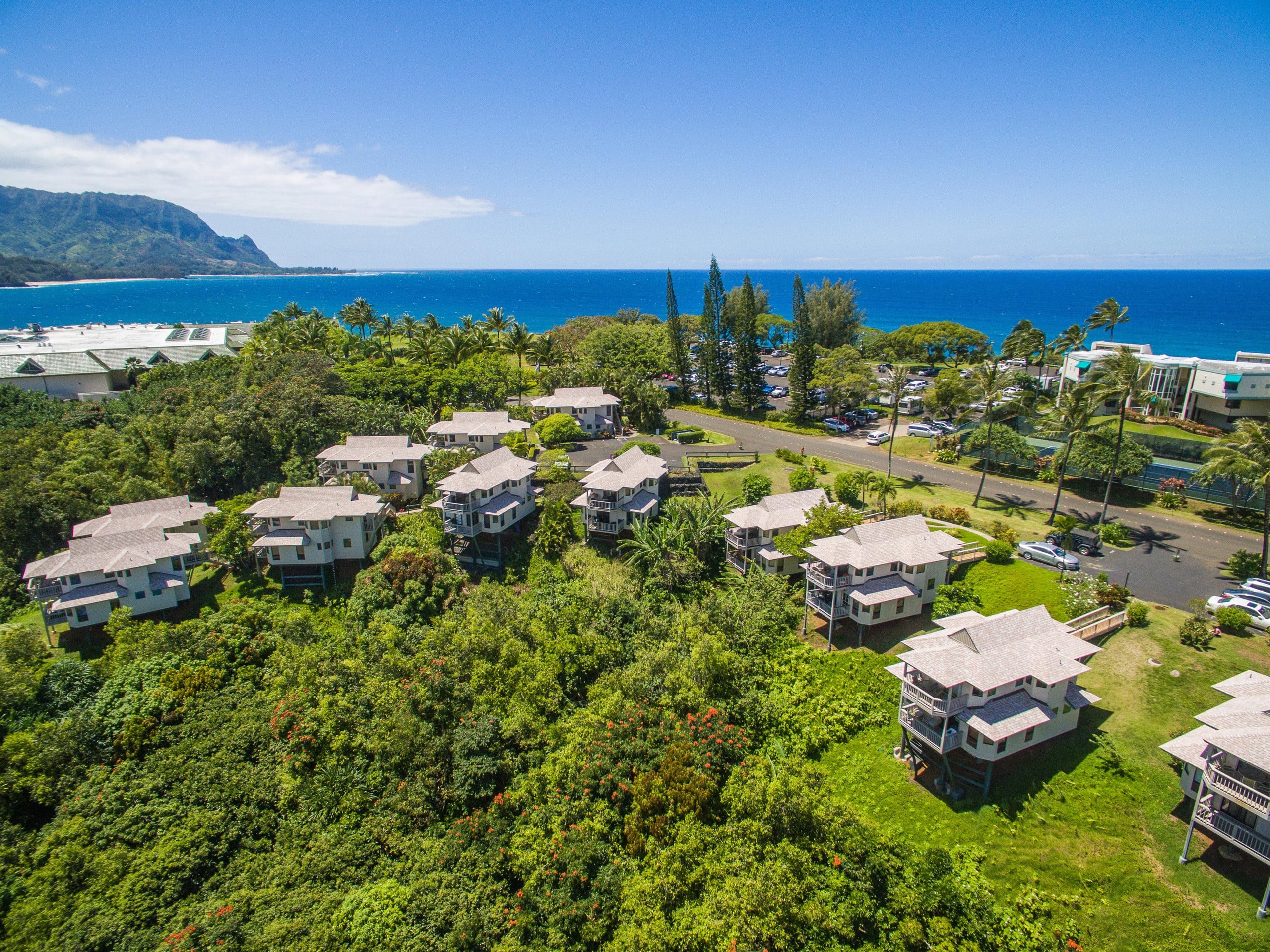 Home in Princeville · ★4.79 · 2 bedrooms · 3 beds · 2.5 baths - Image 18