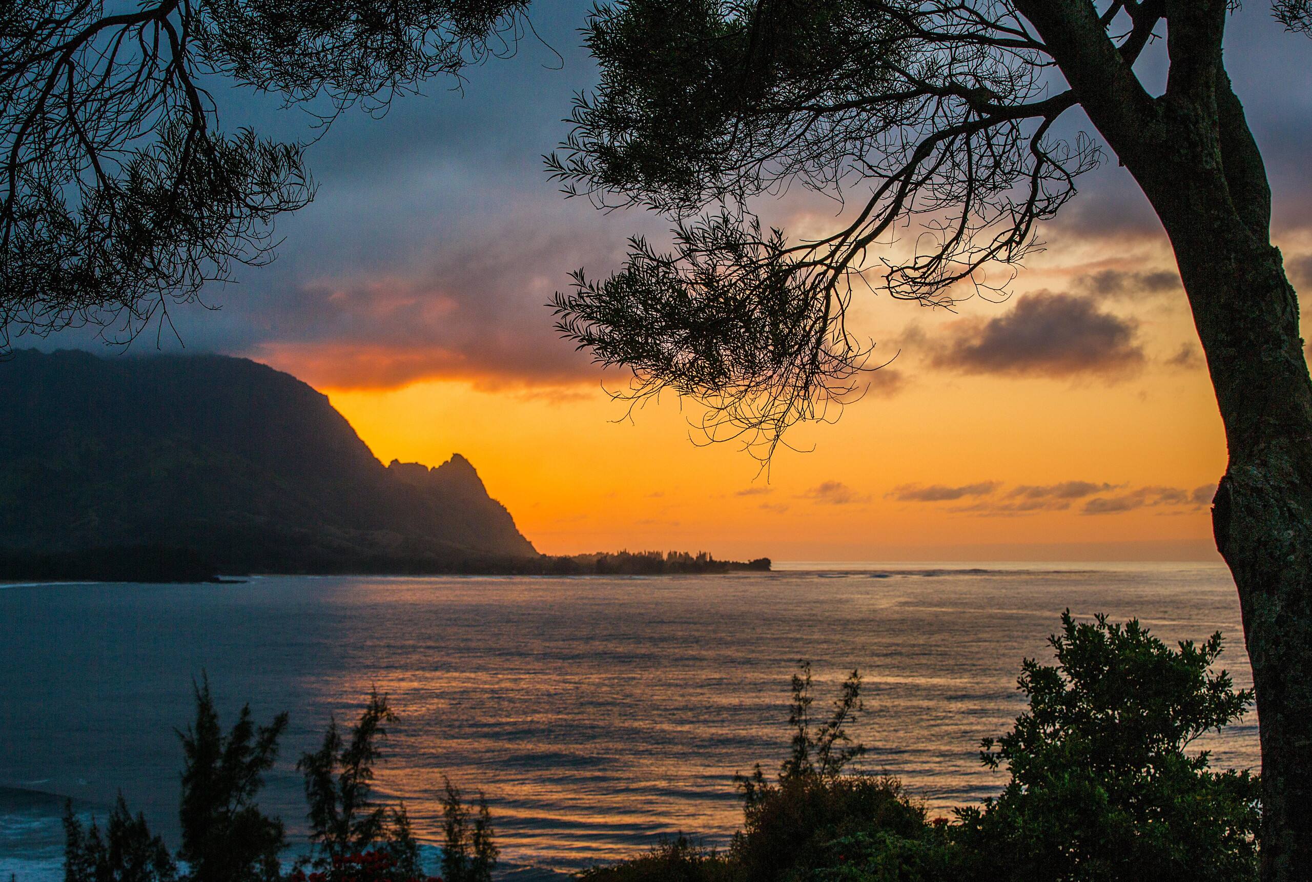 Condo in Princeville · ★4.51 · 1 bedroom · 1 bed · 1 bath - Image 15