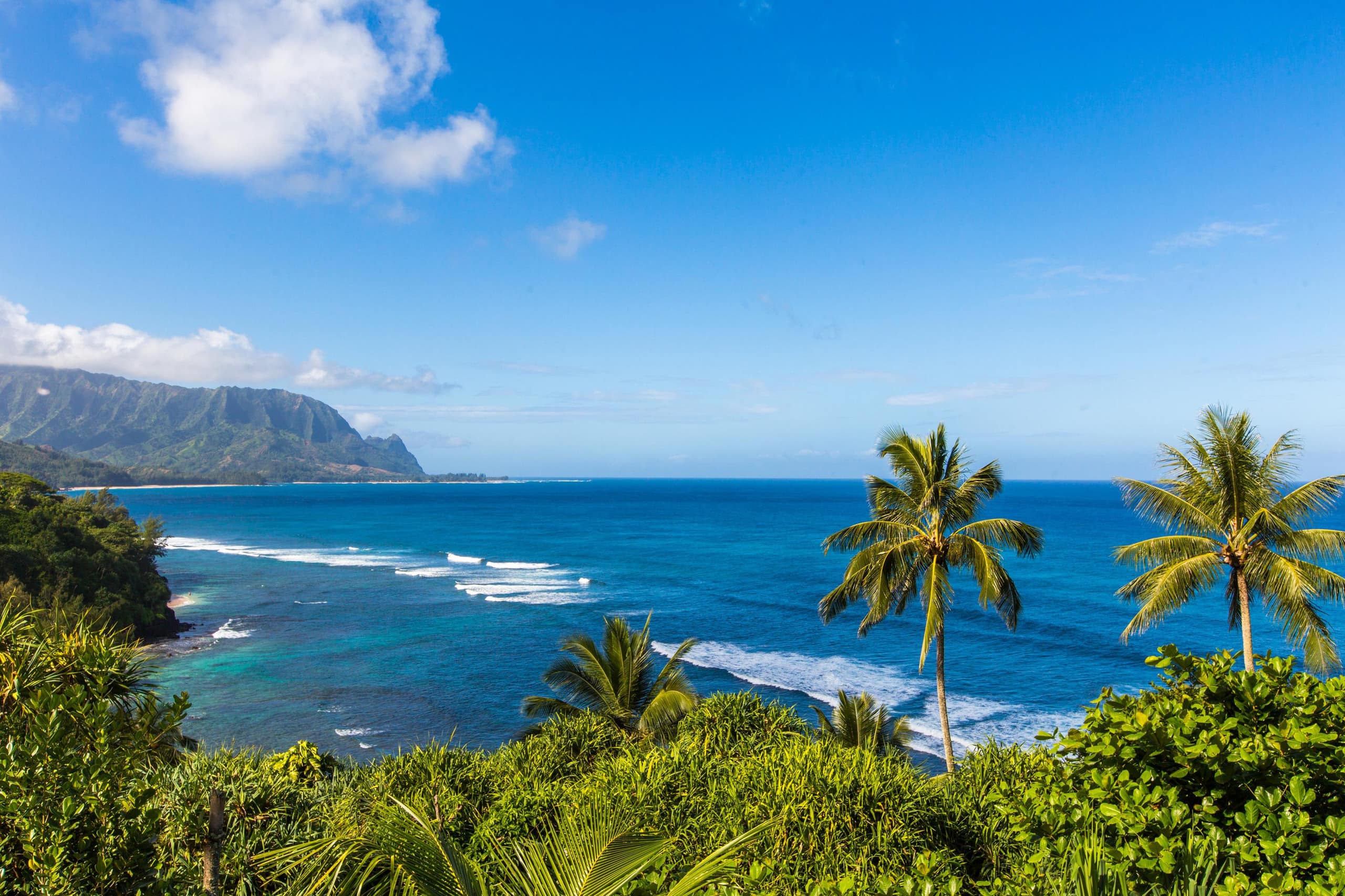 Condo in Princeville · ★4.51 · 1 bedroom · 1 bed · 1 bath - Image 17