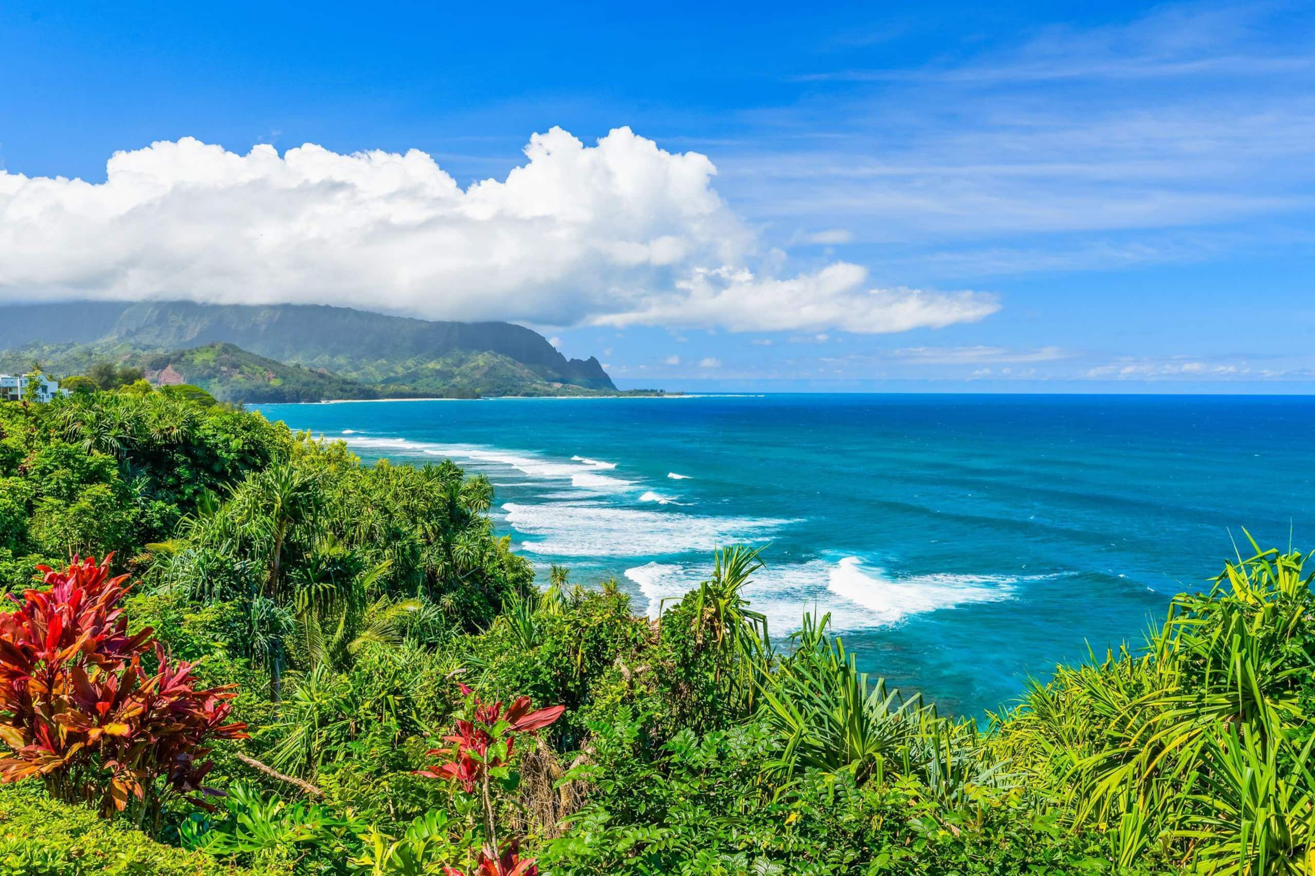 Condo in Princeville · ★4.84 · 2 bedrooms · 2 beds · 2 baths - Image 1