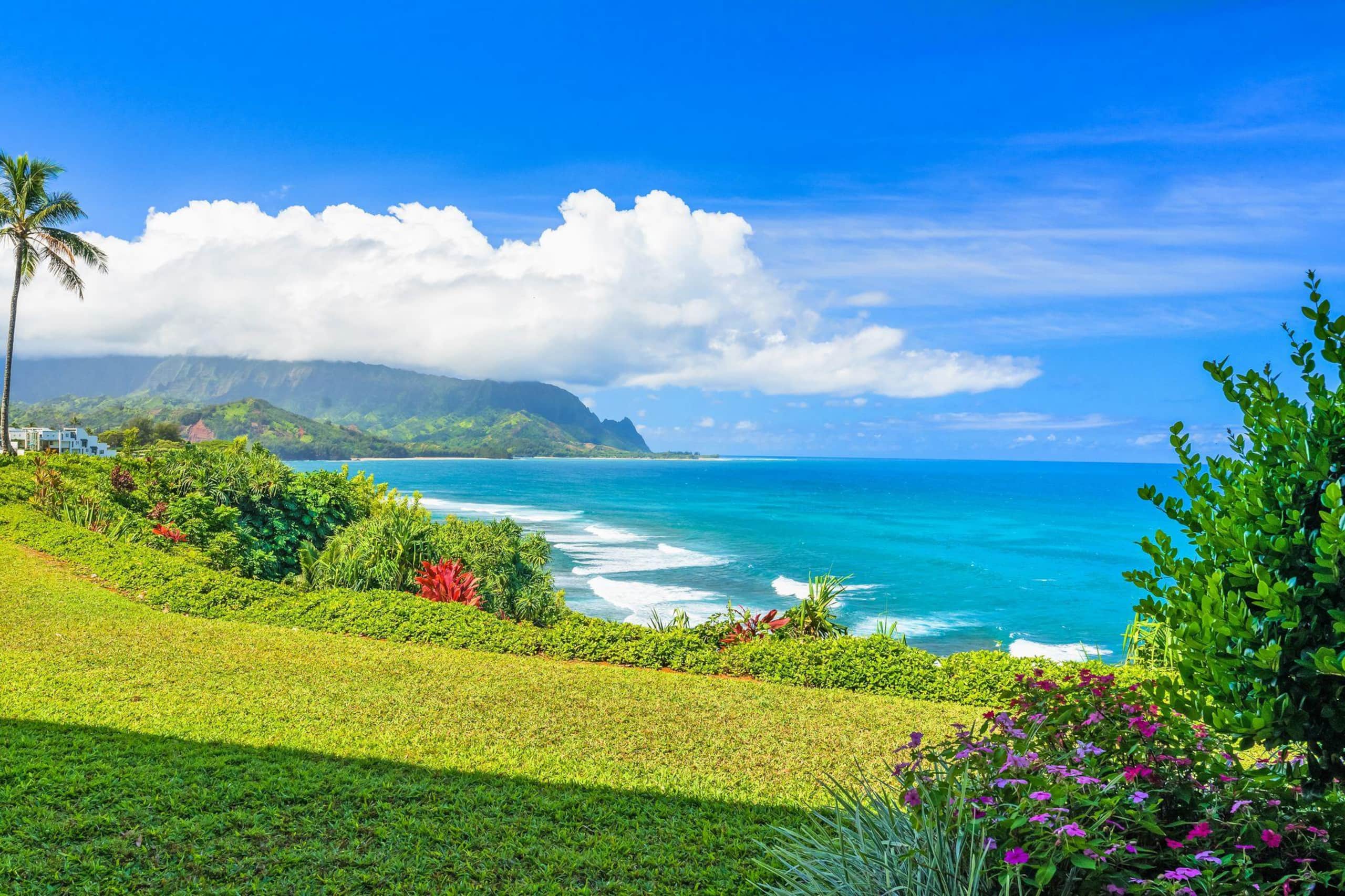Condo in Princeville · ★4.84 · 2 bedrooms · 2 beds · 2 baths - Image 20