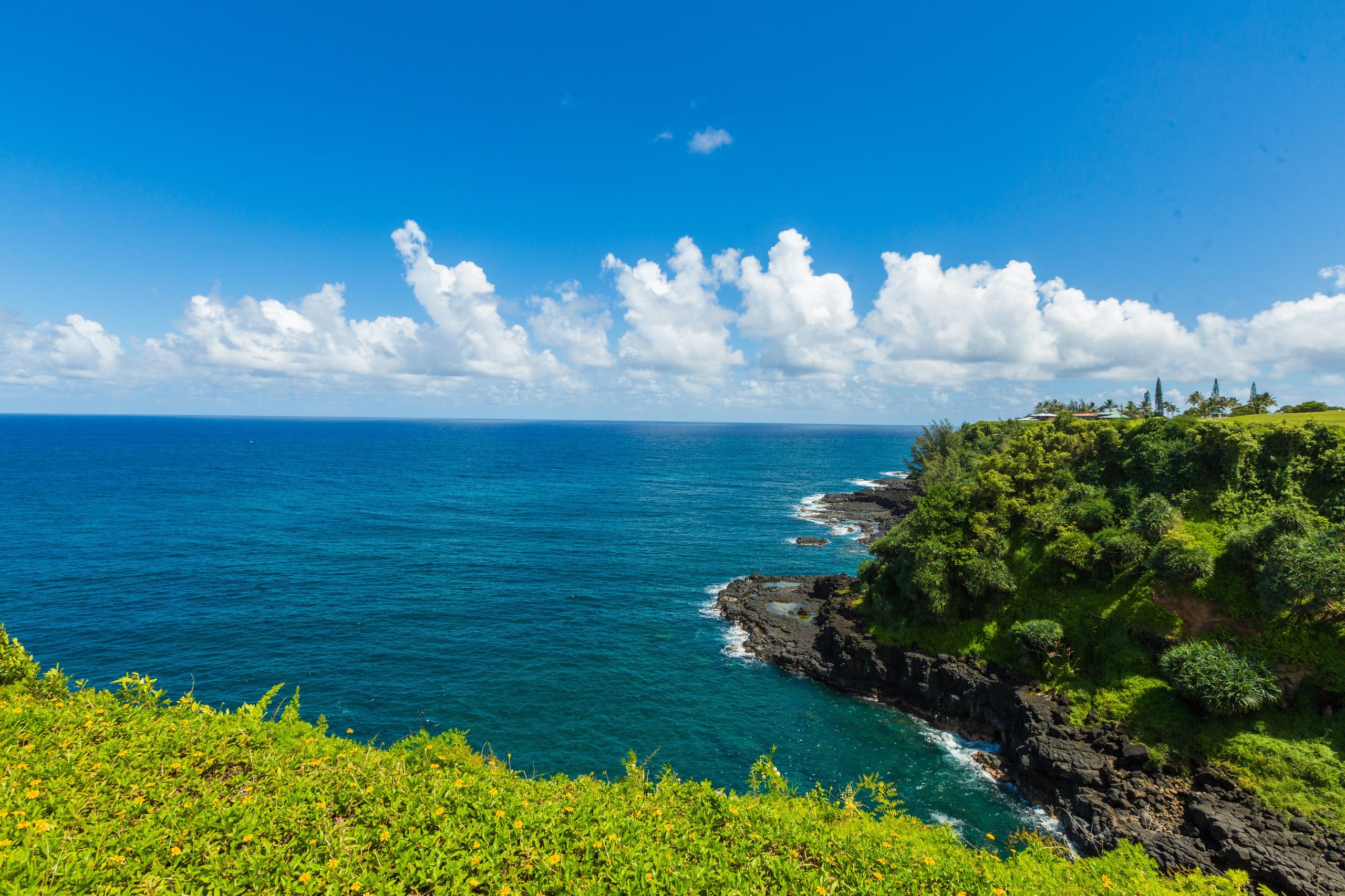 Condo in Princeville · ★4.74 · 2 bedrooms · 2 beds · 2 baths - Image 19