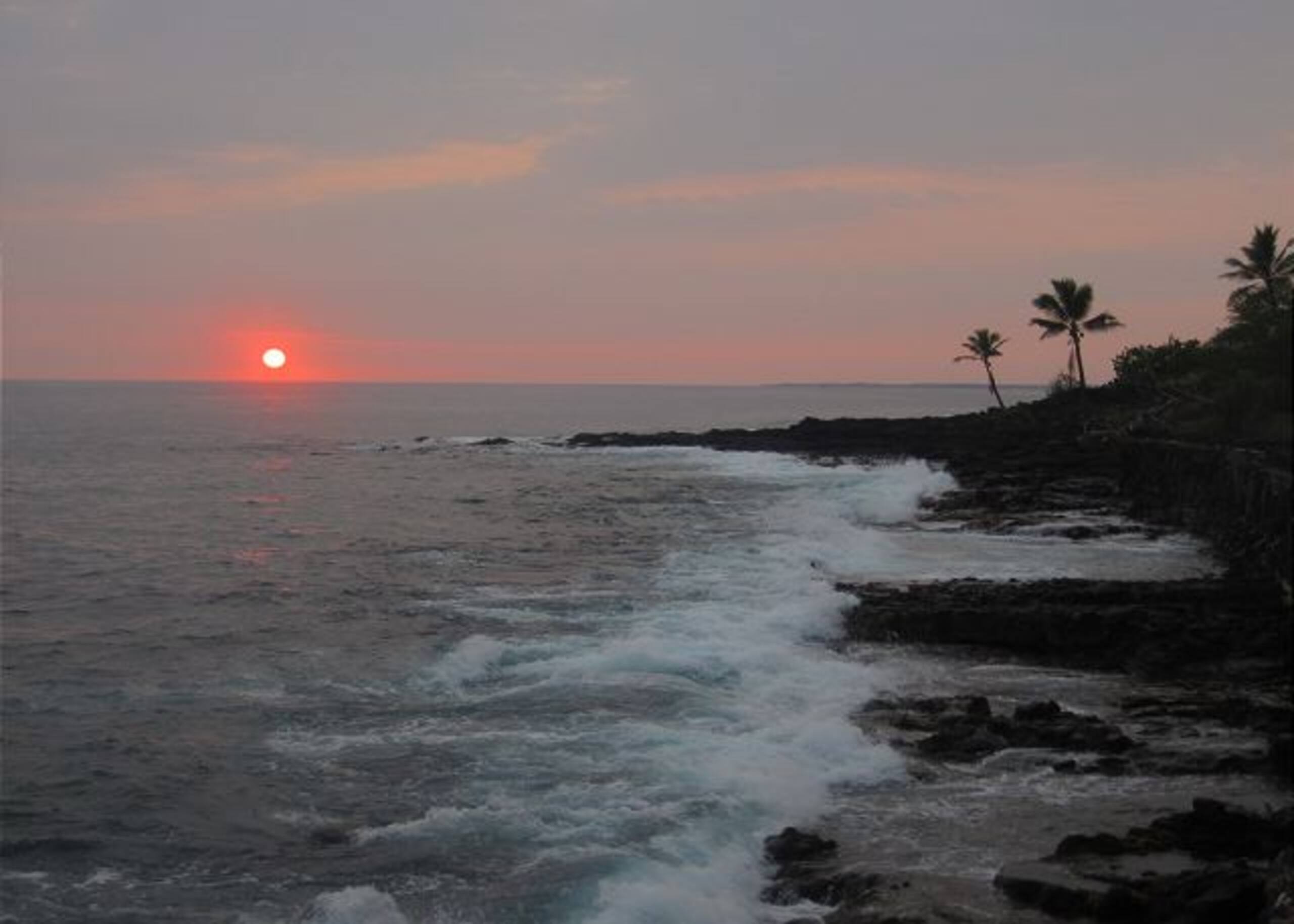 Condo in Kailua-Kona · ★5.0 · 1 bedroom · 1 bed · 1 bath - Image 29