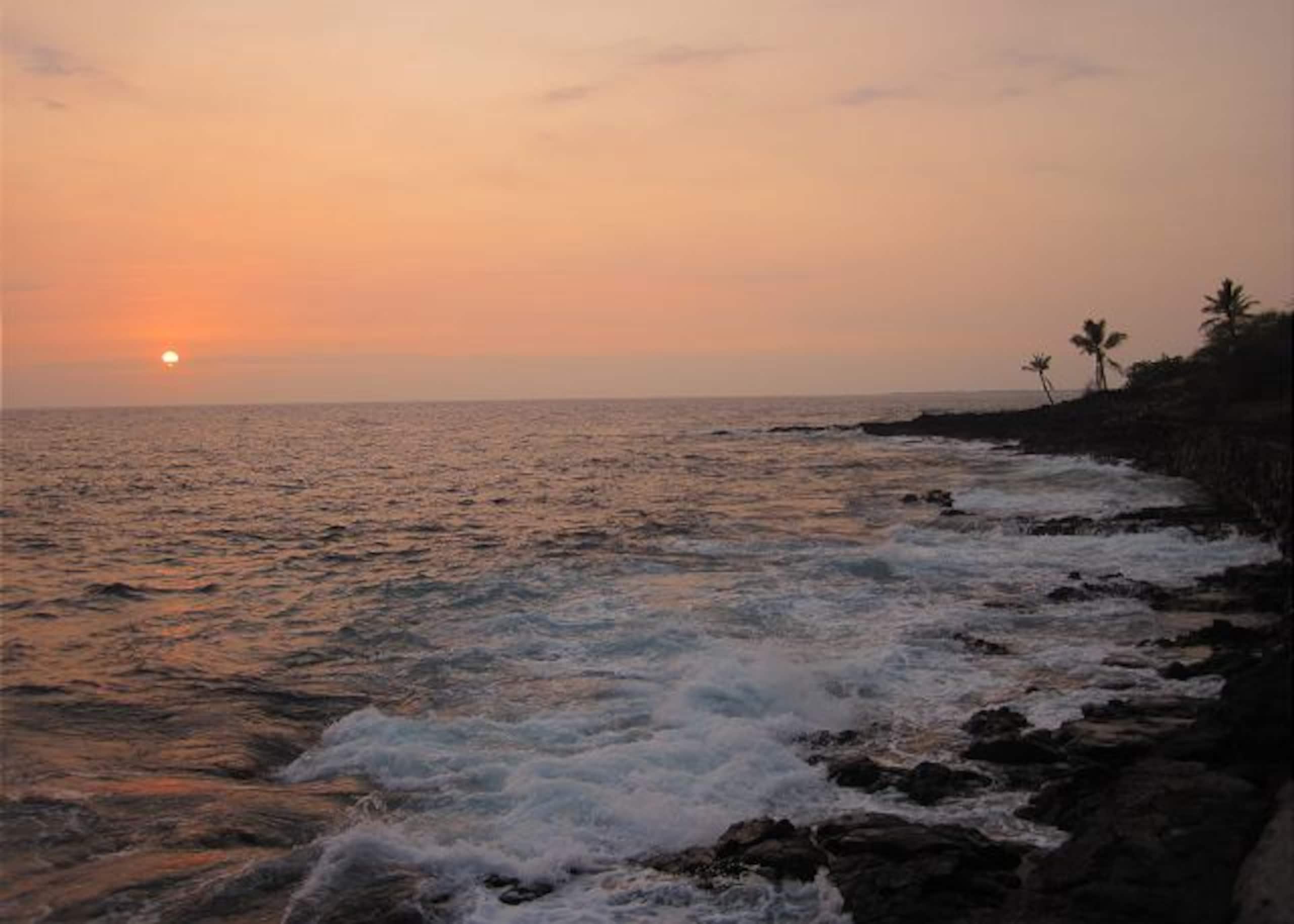 Condo in Kailua-Kona · ★5.0 · 1 bedroom · 1 bed · 1 bath - Image 28